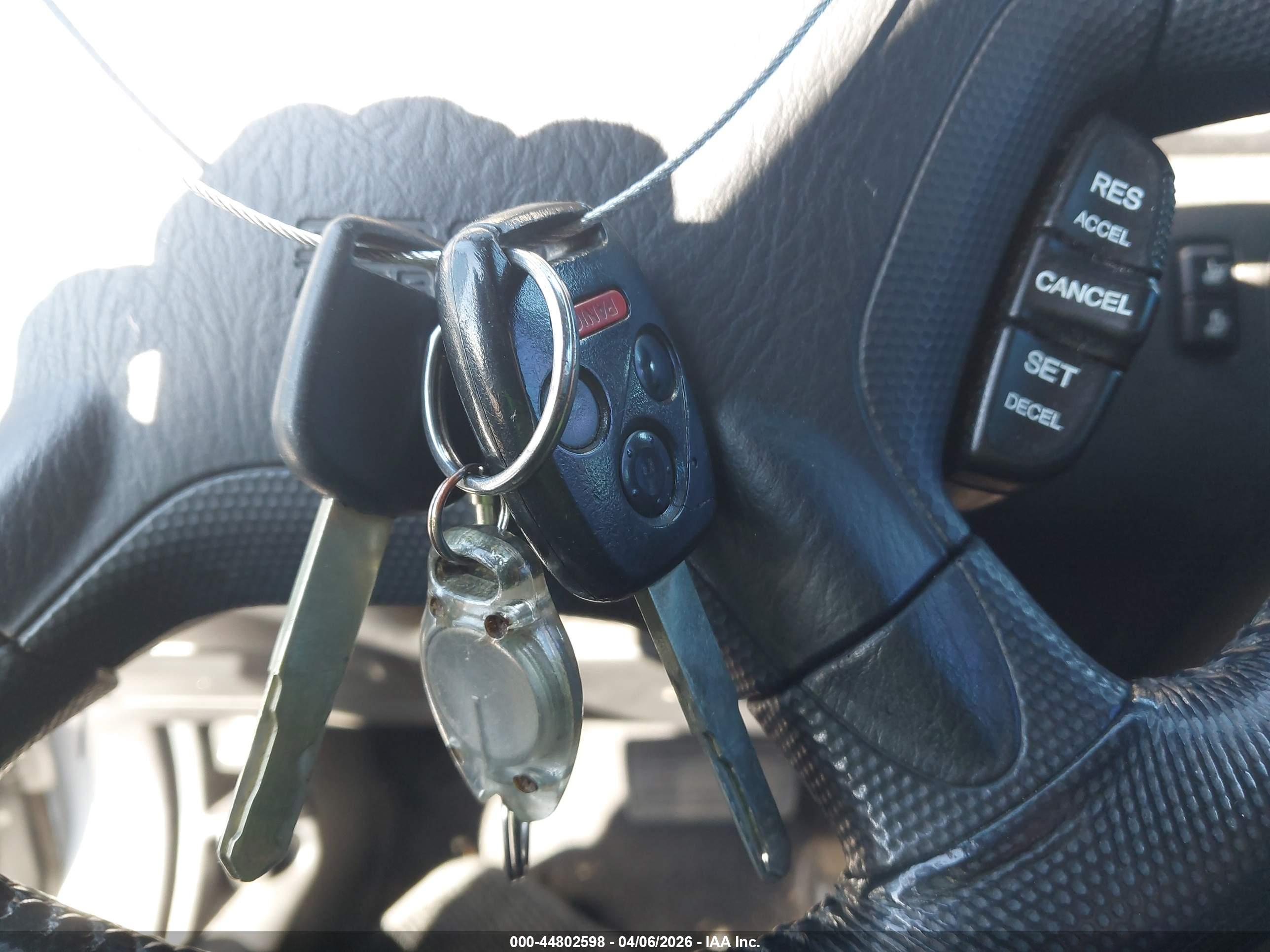 HONDA CR-V image 11
