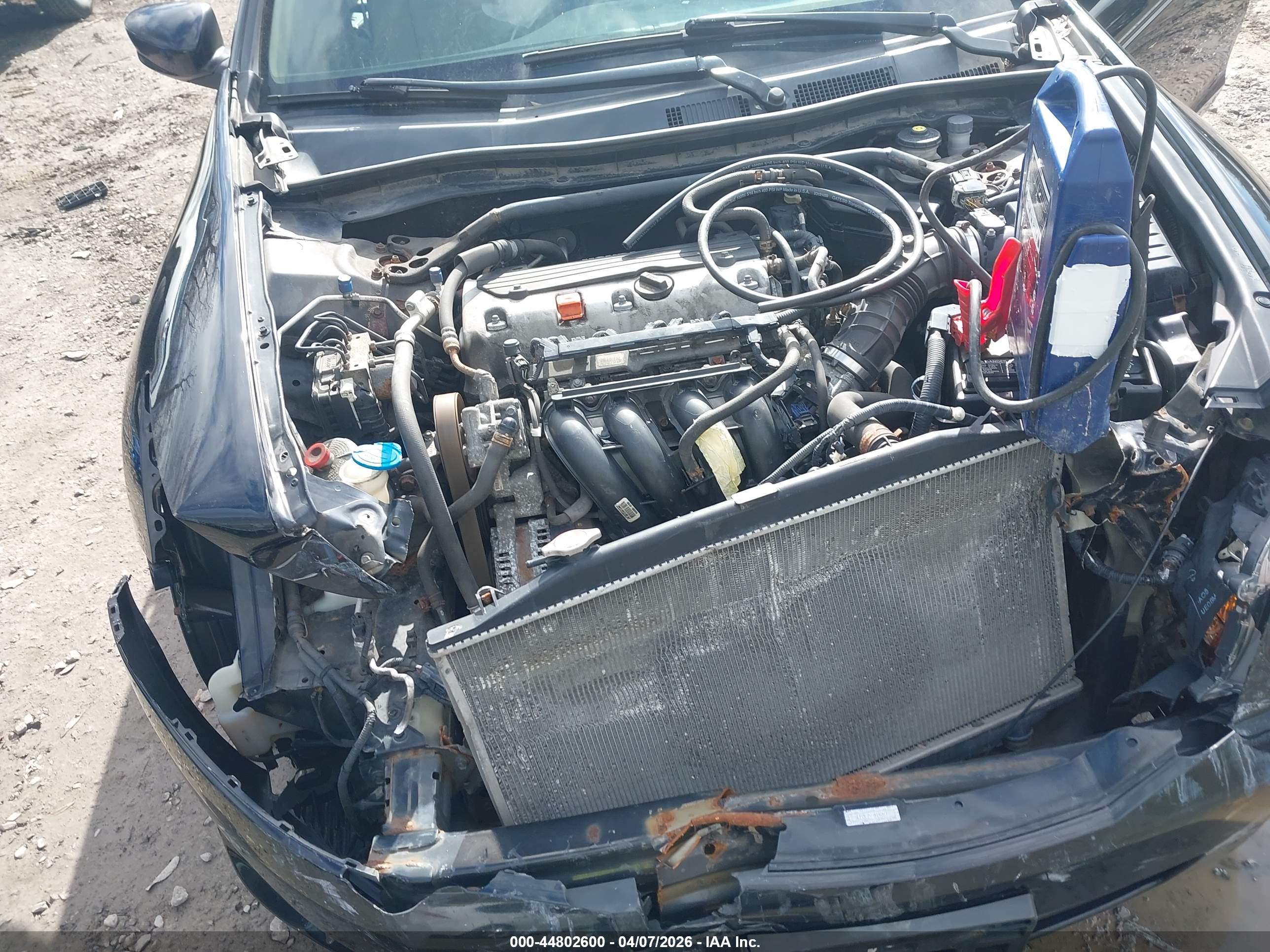 HONDA ACCORD image 10