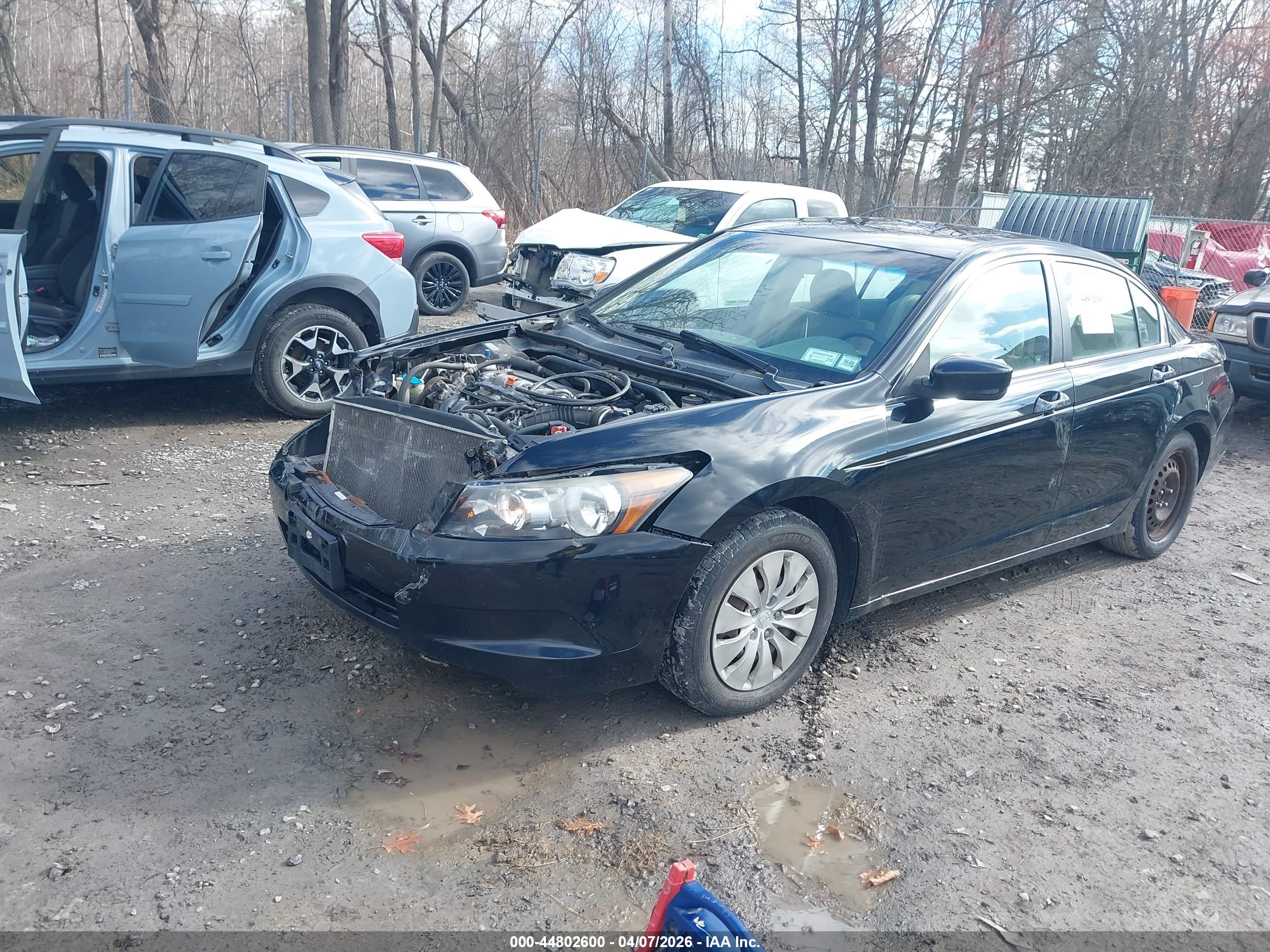 HONDA ACCORD image 2