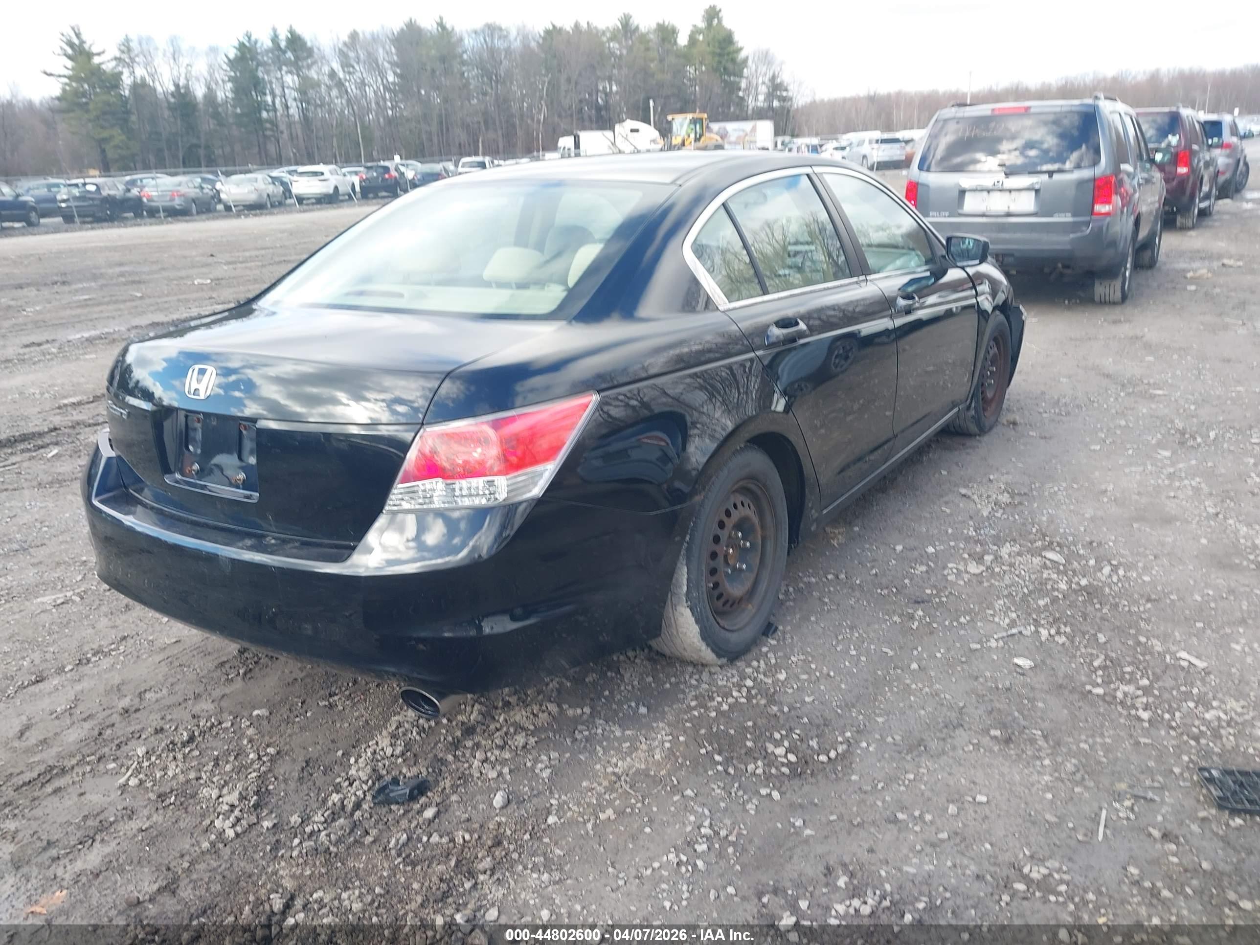 HONDA ACCORD image 4