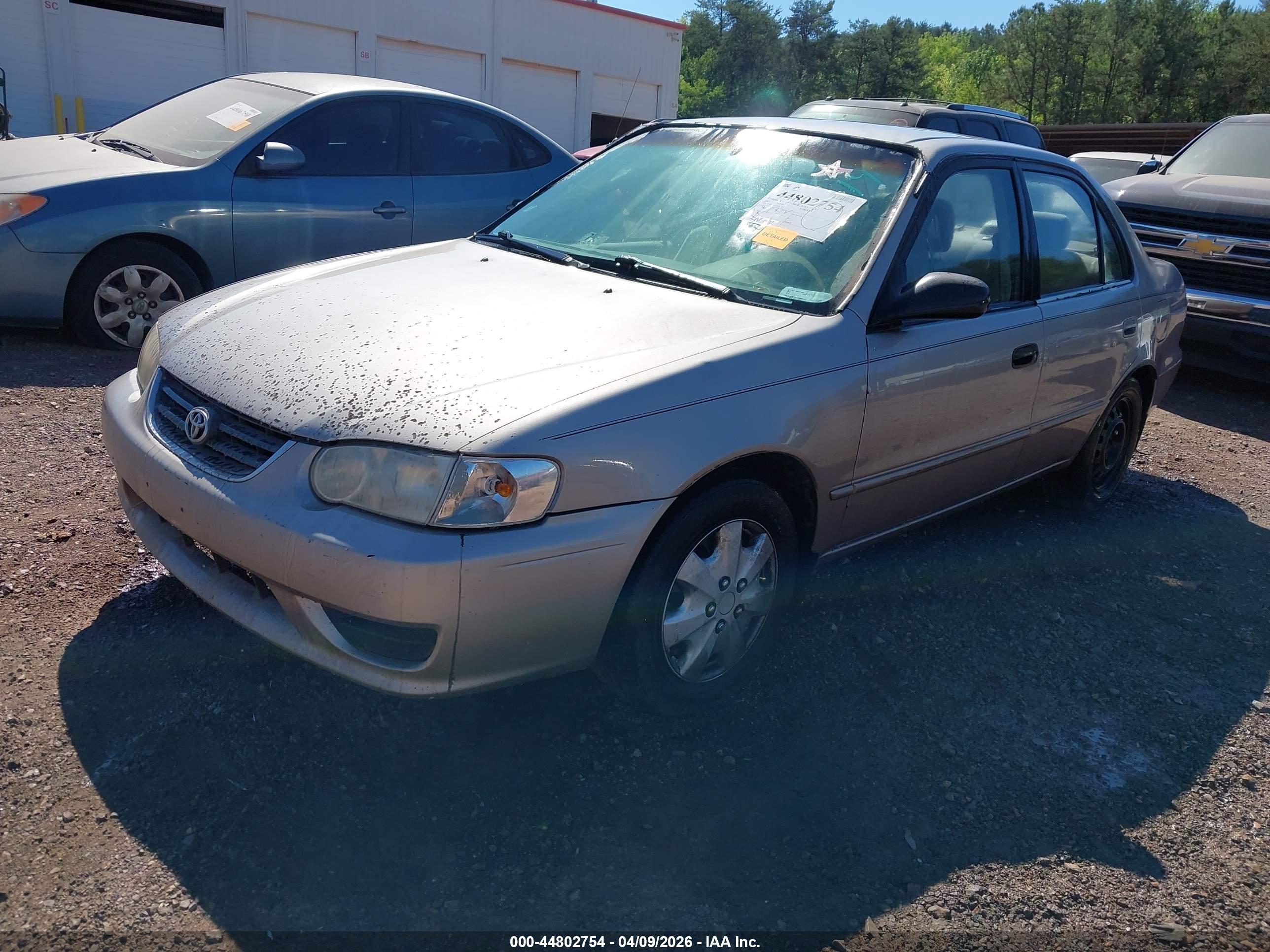 TOYOTA COROLLA image 2