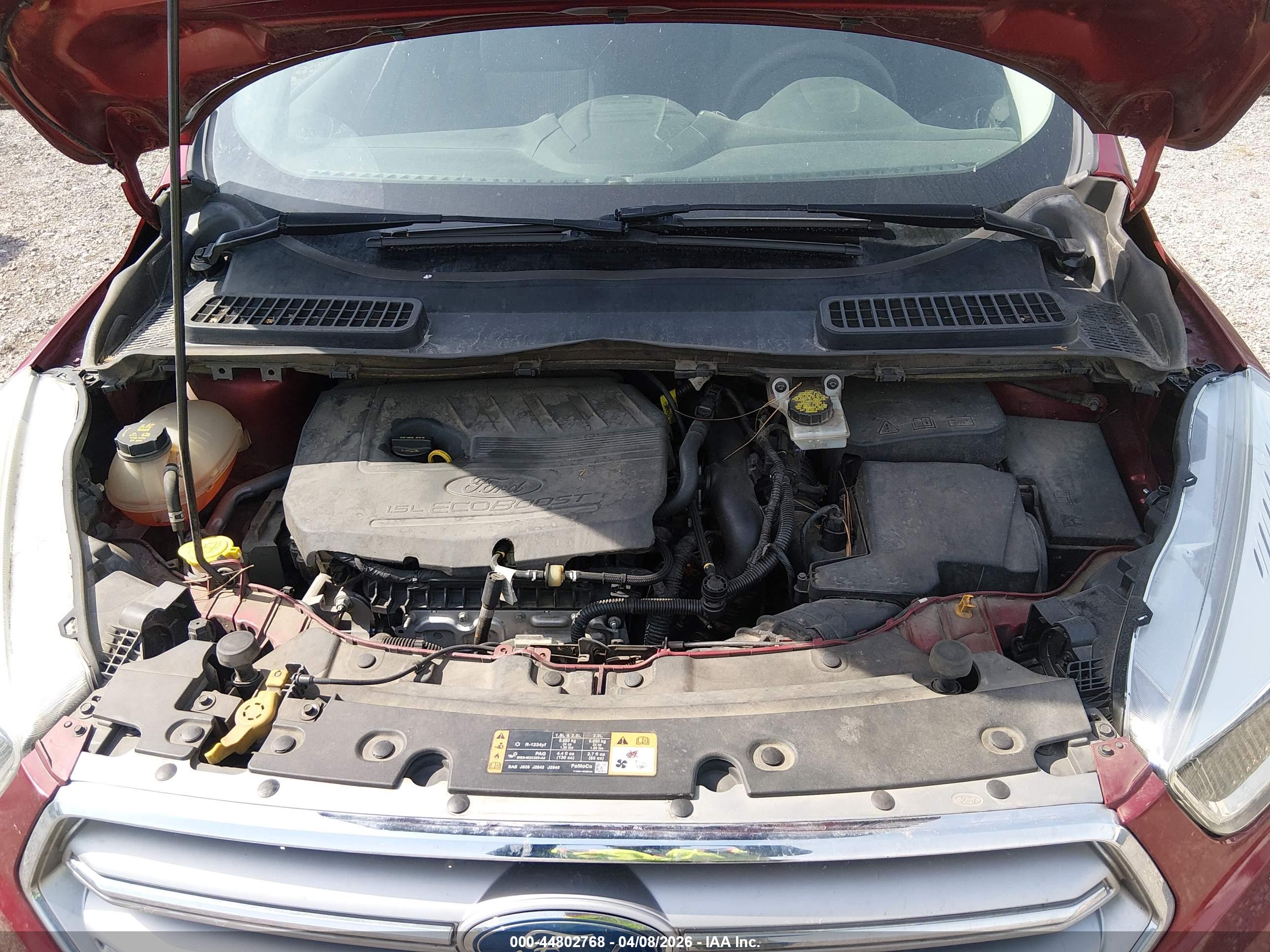 FORD ESCAPE image 10