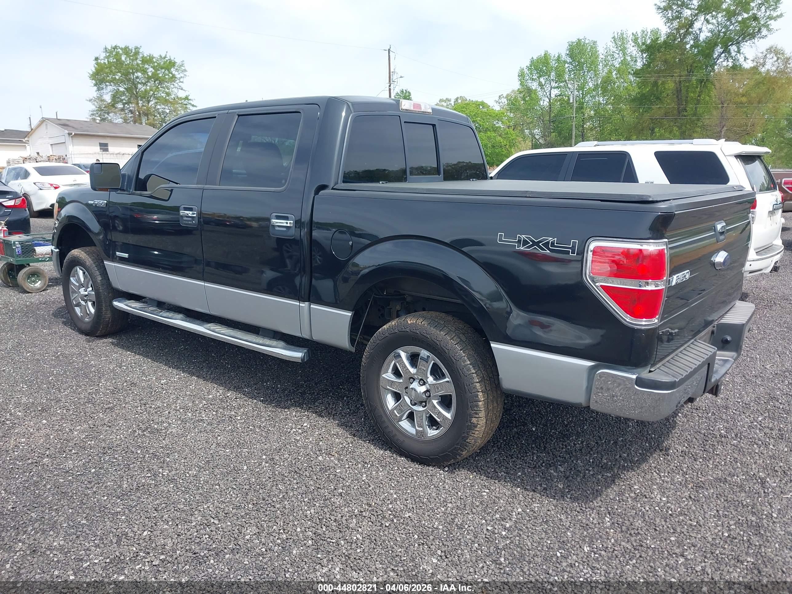 FORD F-150 image 3