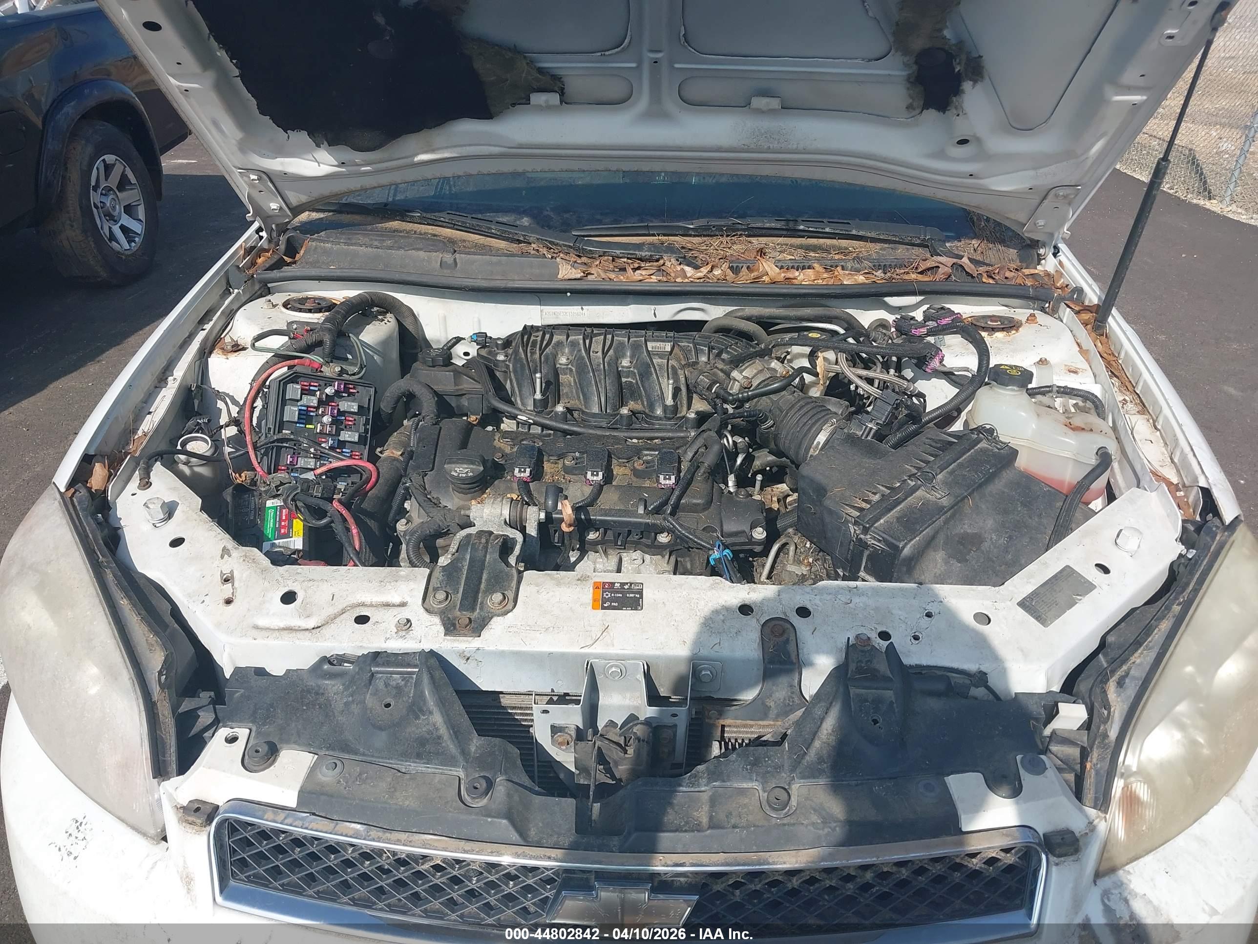 CHEVROLET IMPALA image 10