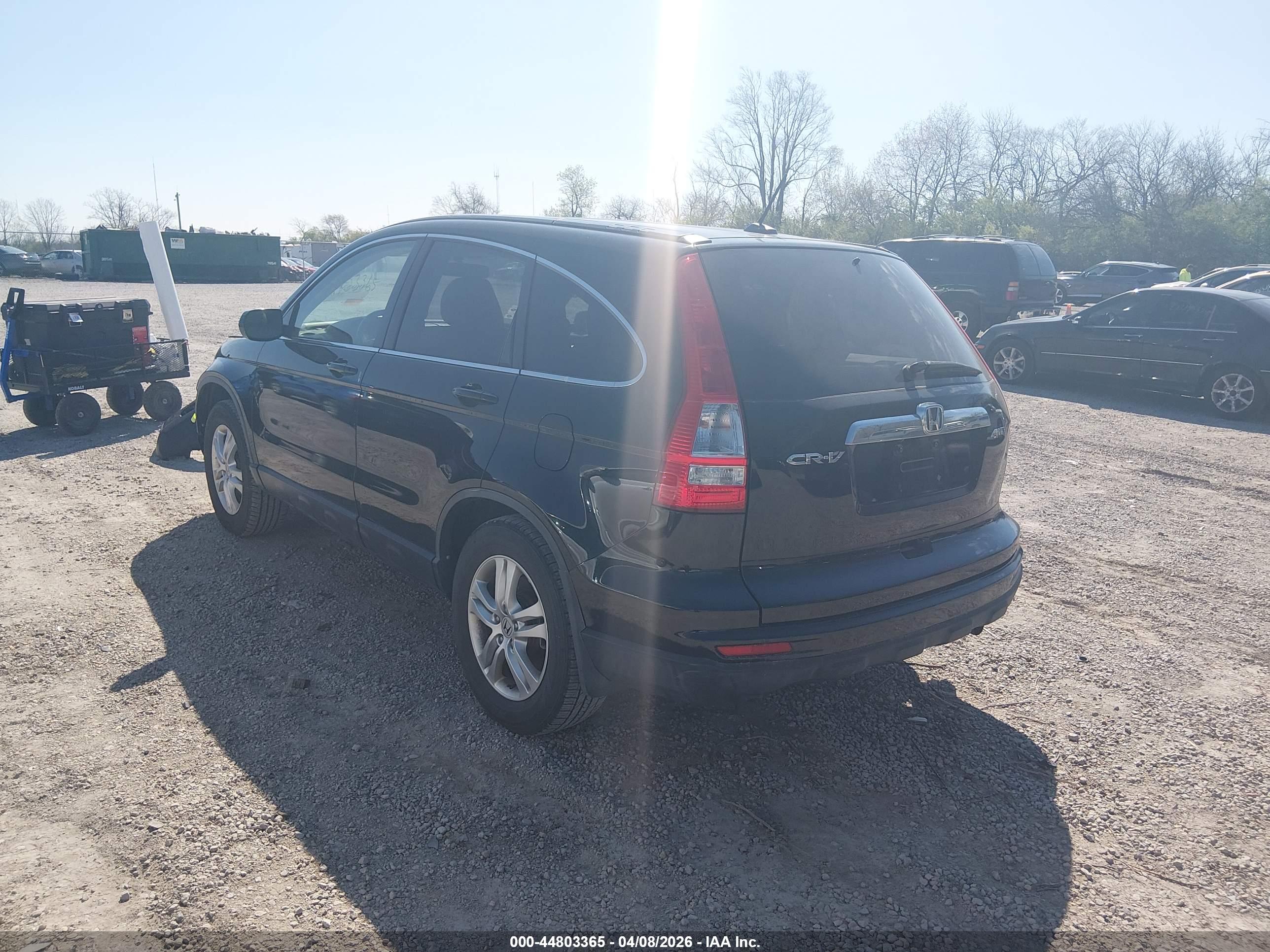 HONDA CR-V image 3