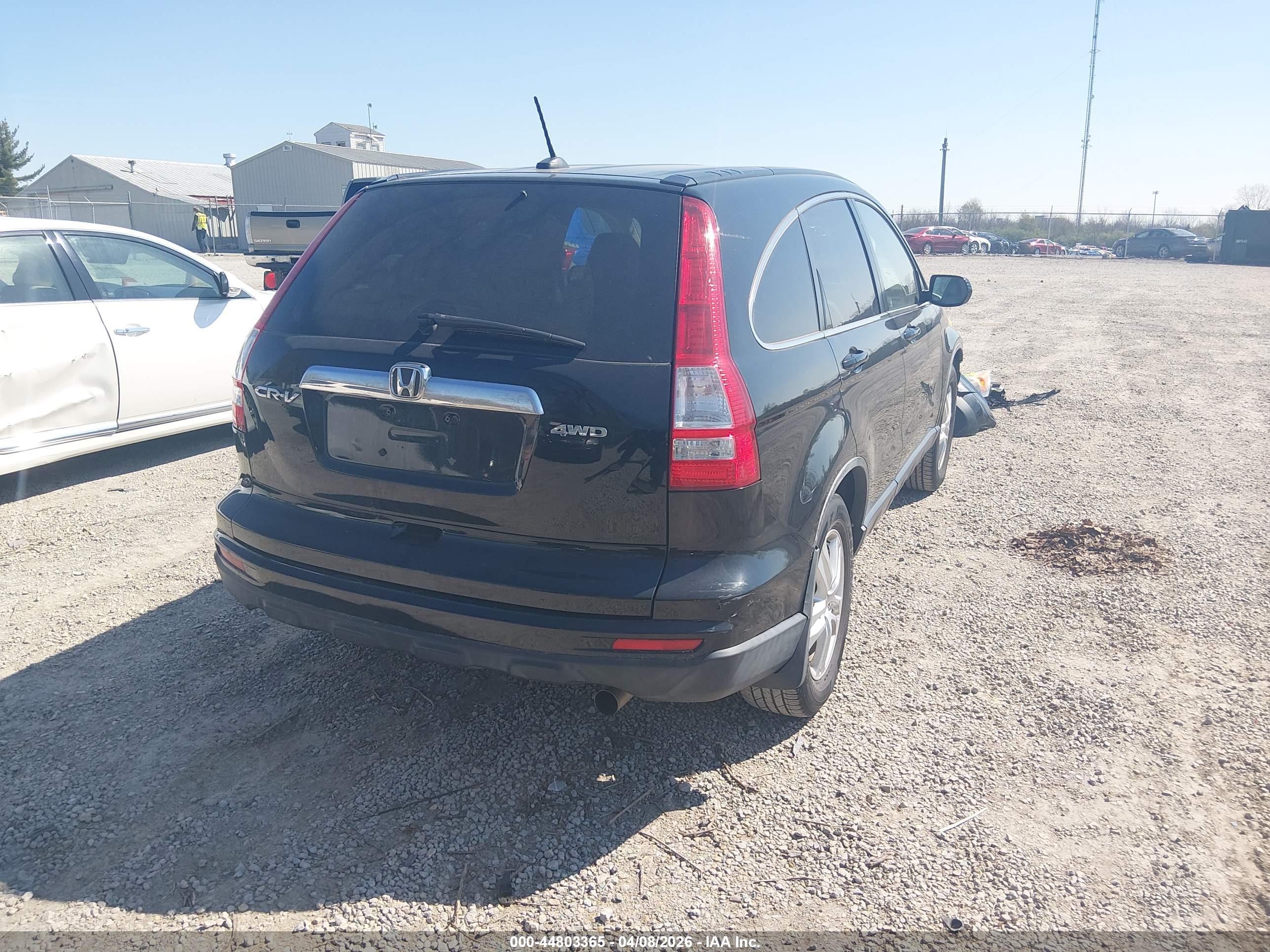 HONDA CR-V image 4