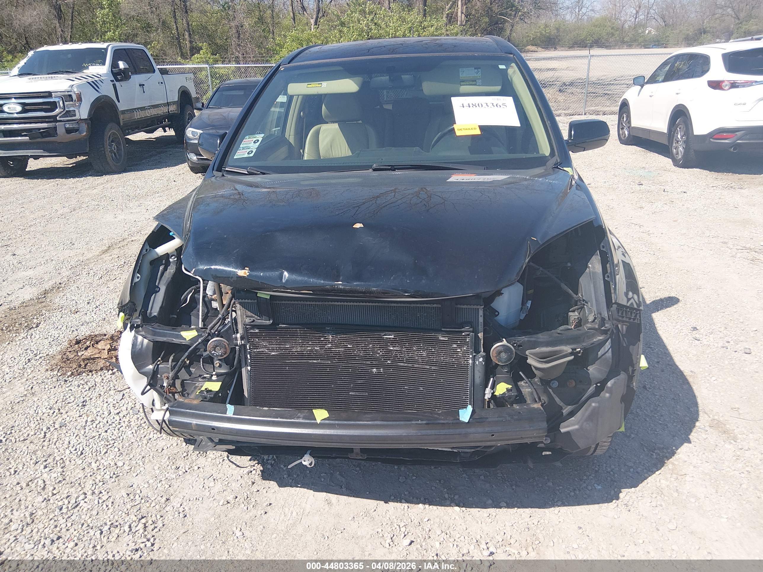 HONDA CR-V image 6