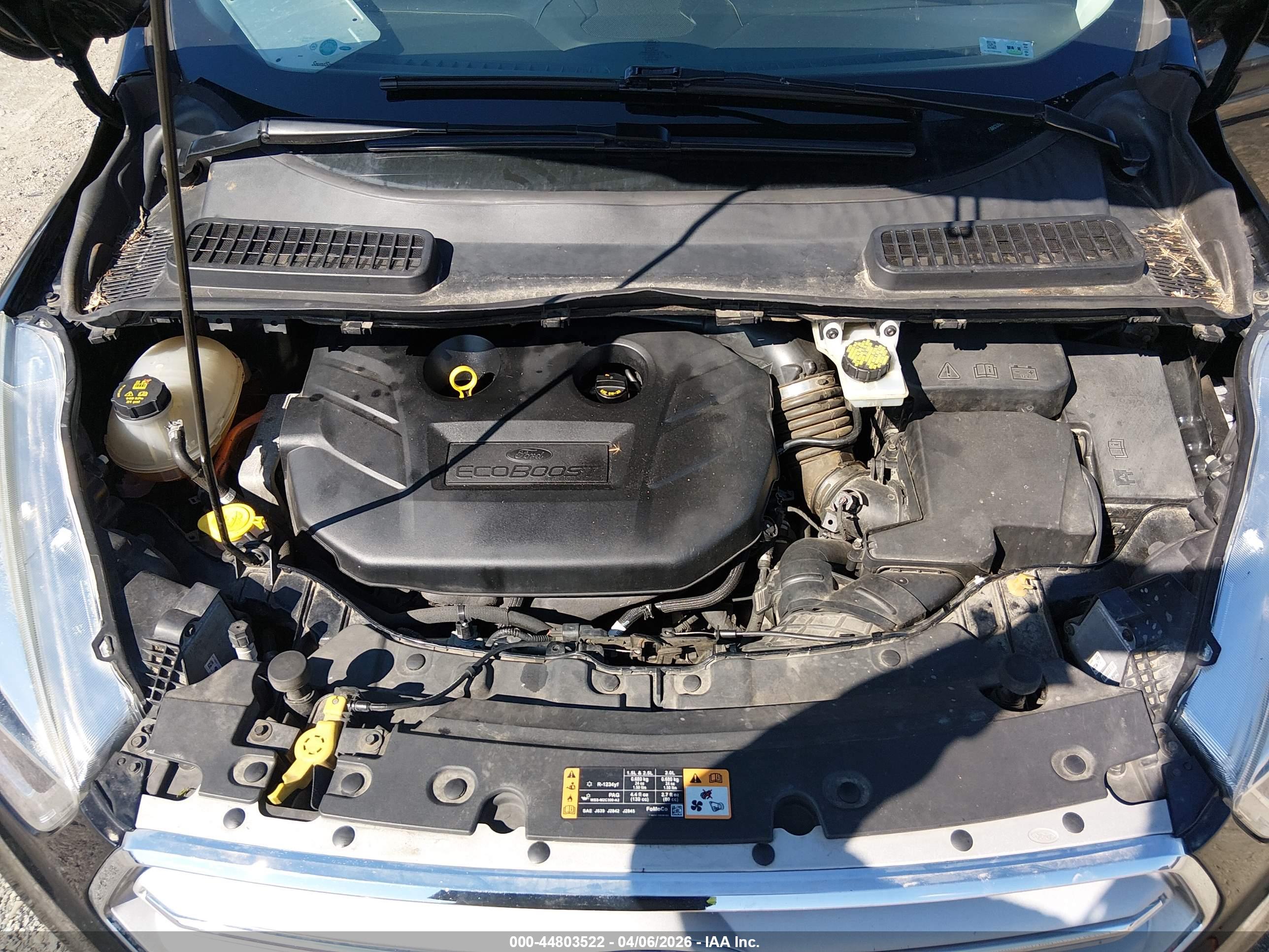 FORD ESCAPE image 10