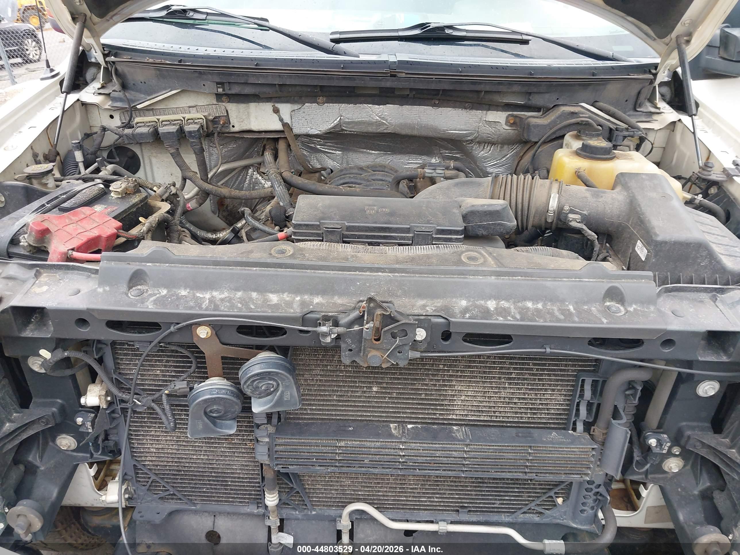 FORD F-150 image 10