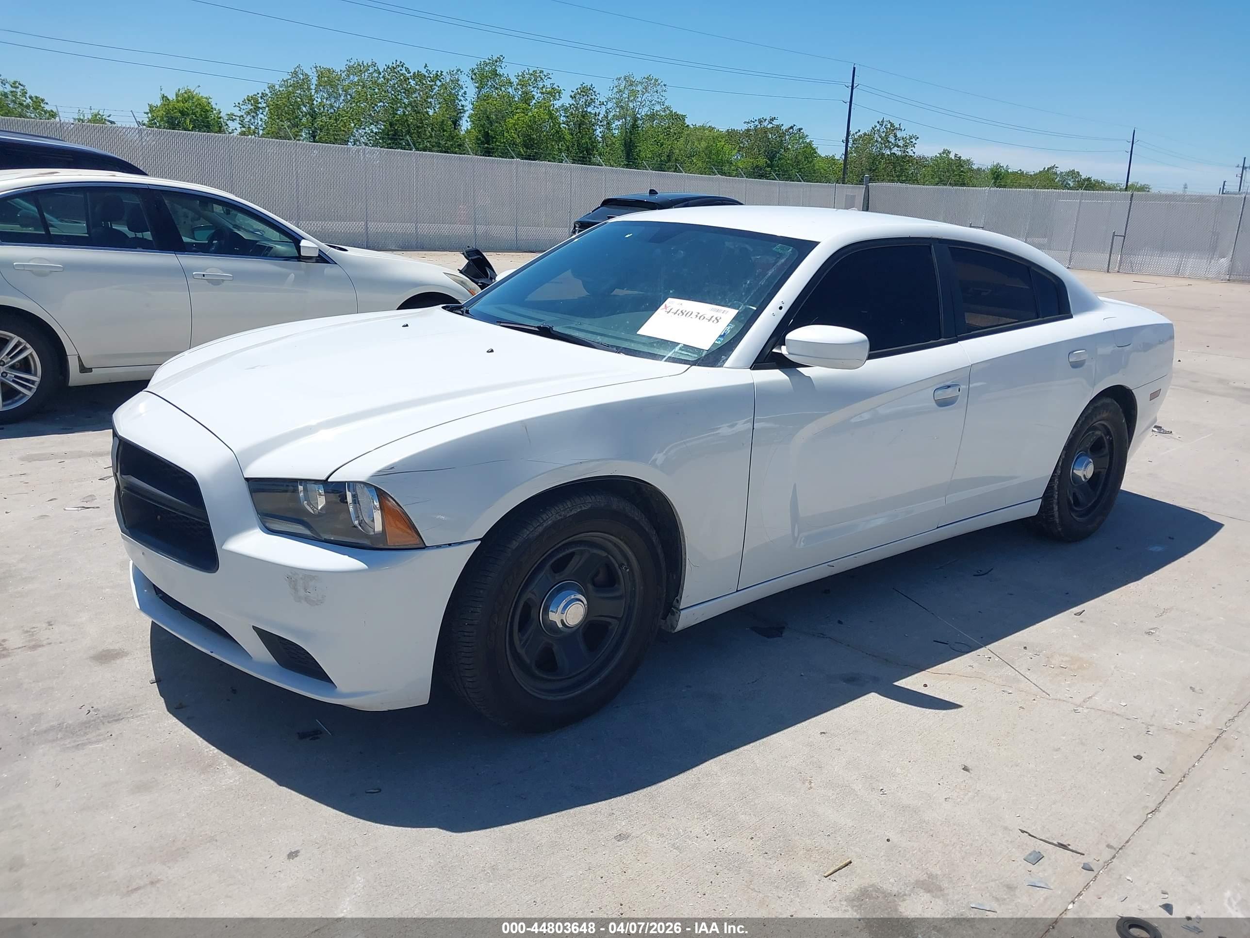 DODGE CHARGER image 2