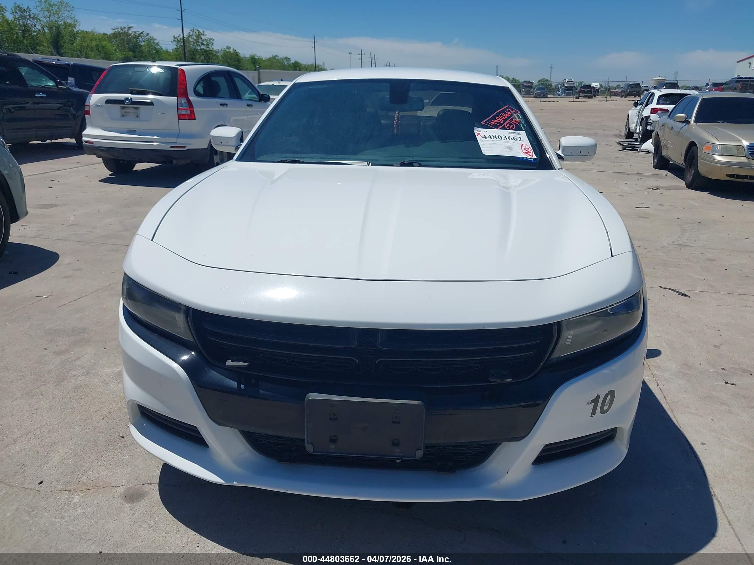 DODGE CHARGER image 6
