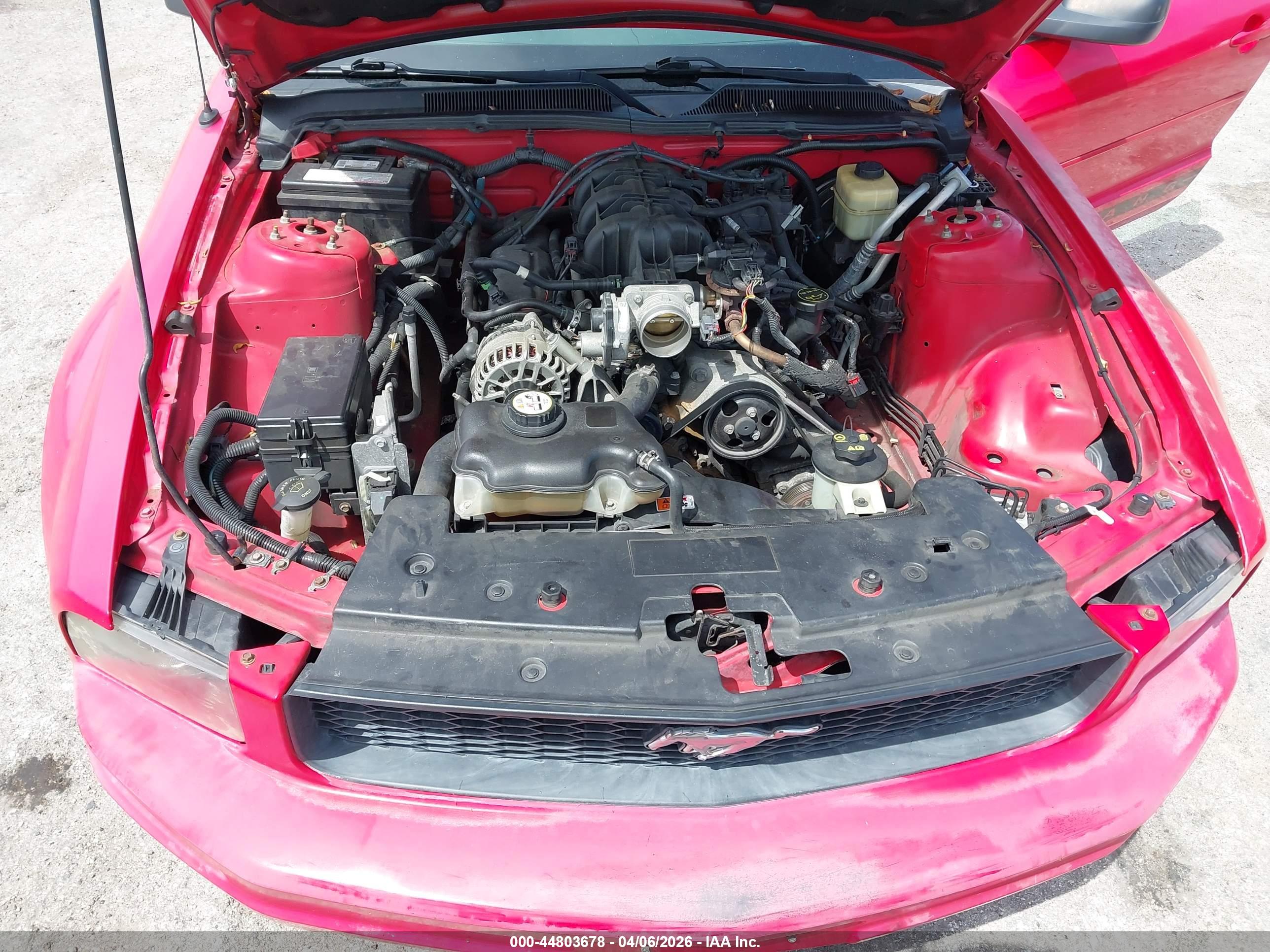 FORD MUSTANG image 10