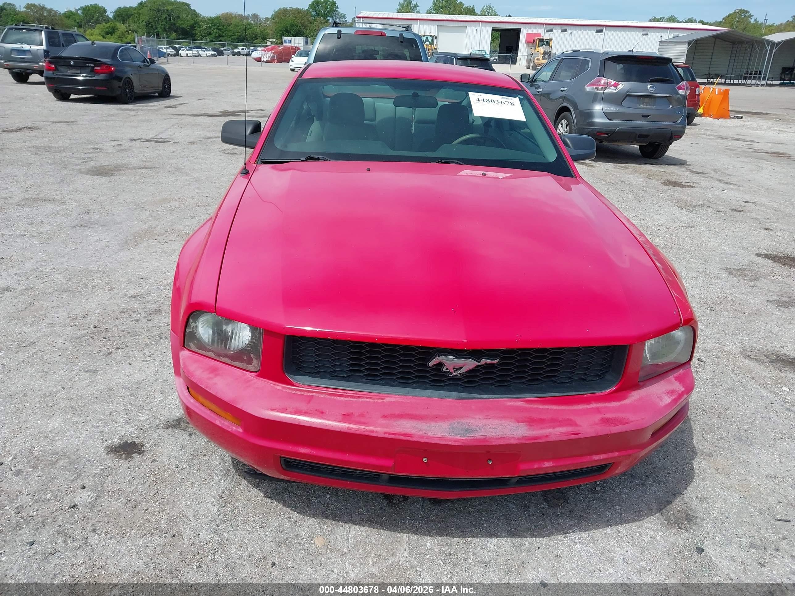 FORD MUSTANG image 6