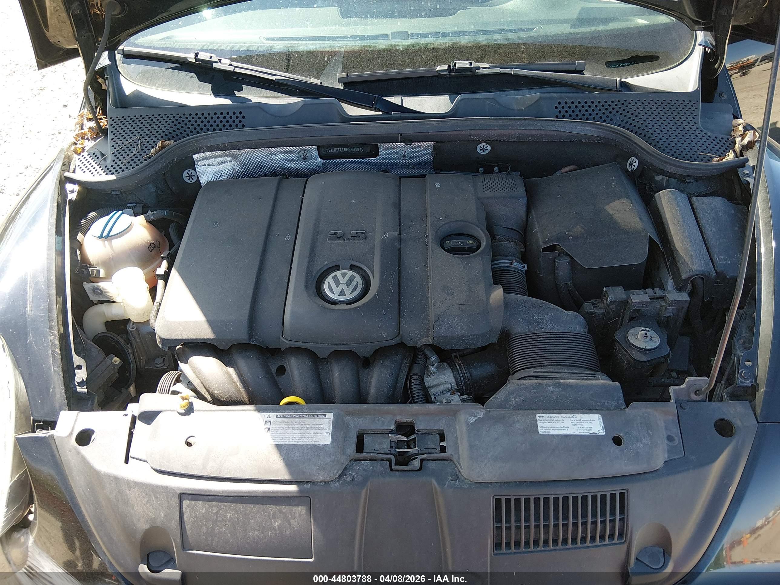 VOLKSWAGEN BEETLE image 10