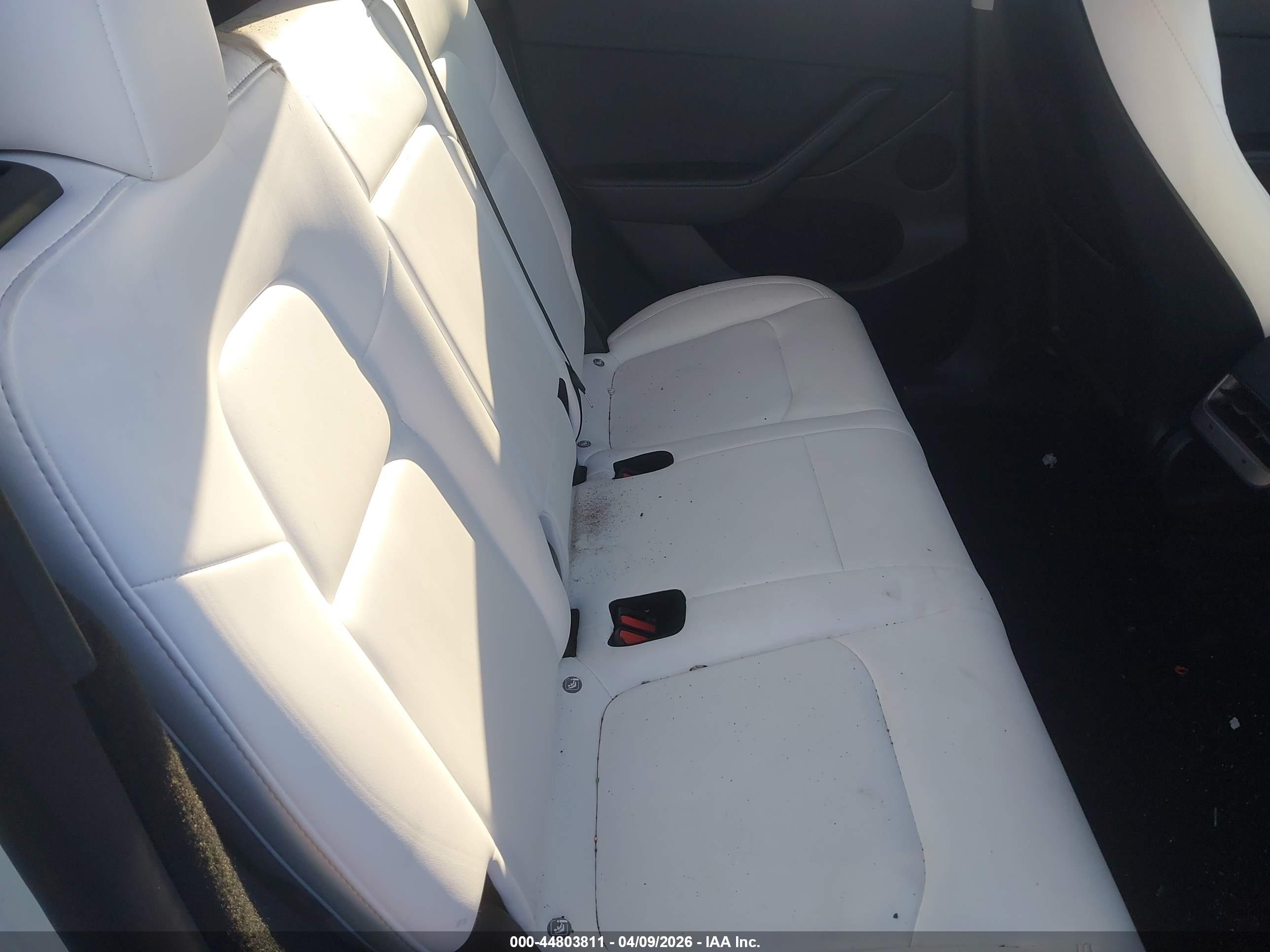 TESLA MODEL image 8