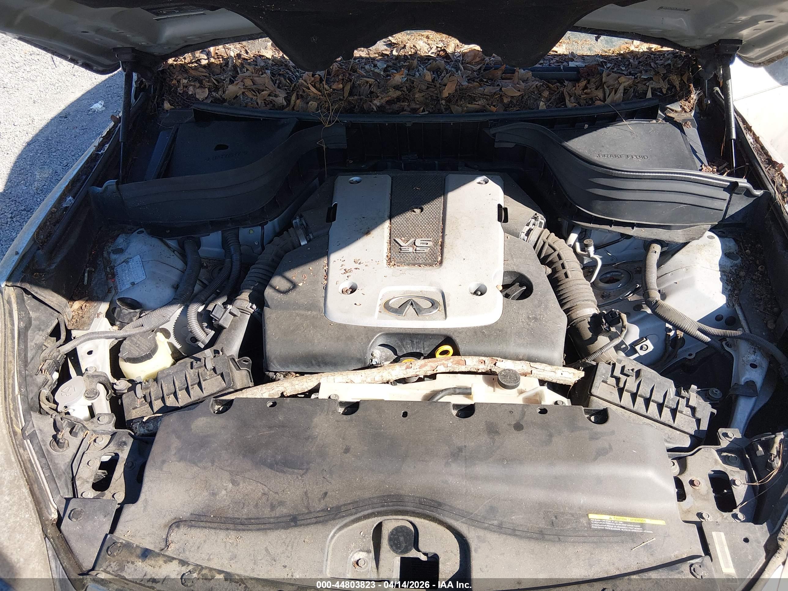 INFINITI EX35 image 10