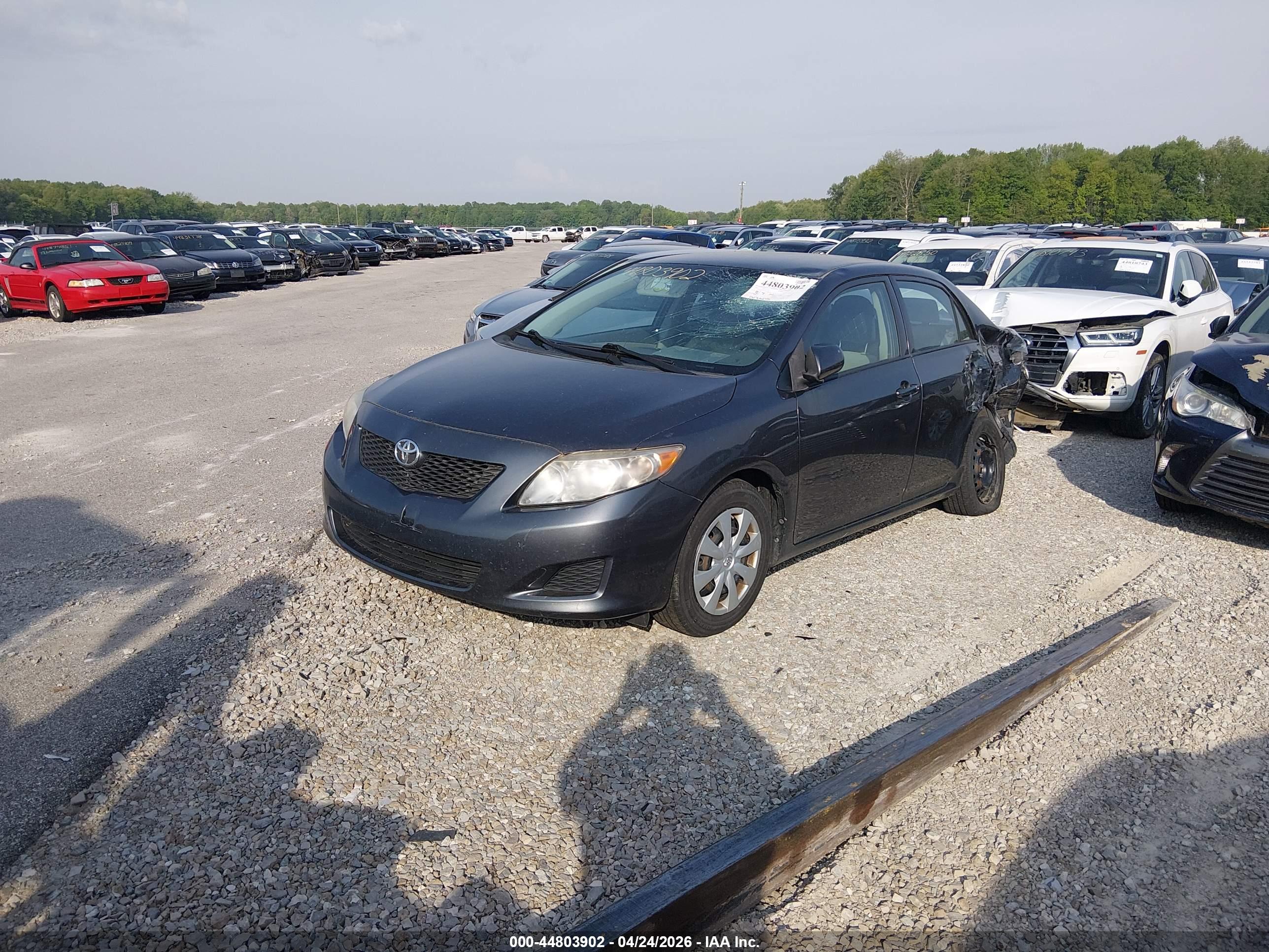 TOYOTA COROLLA image 2