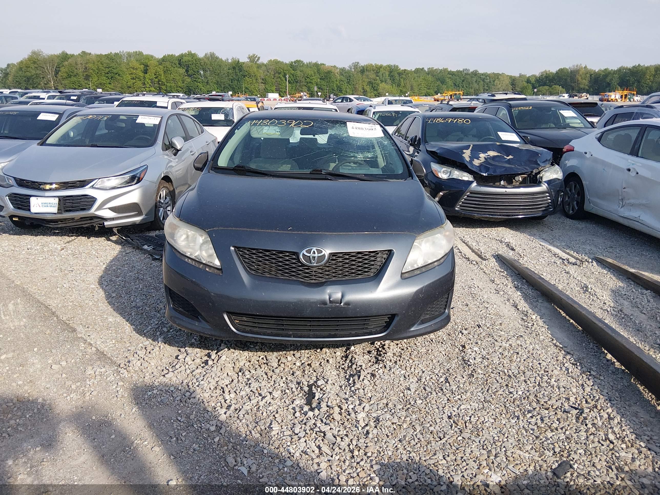 TOYOTA COROLLA image 6