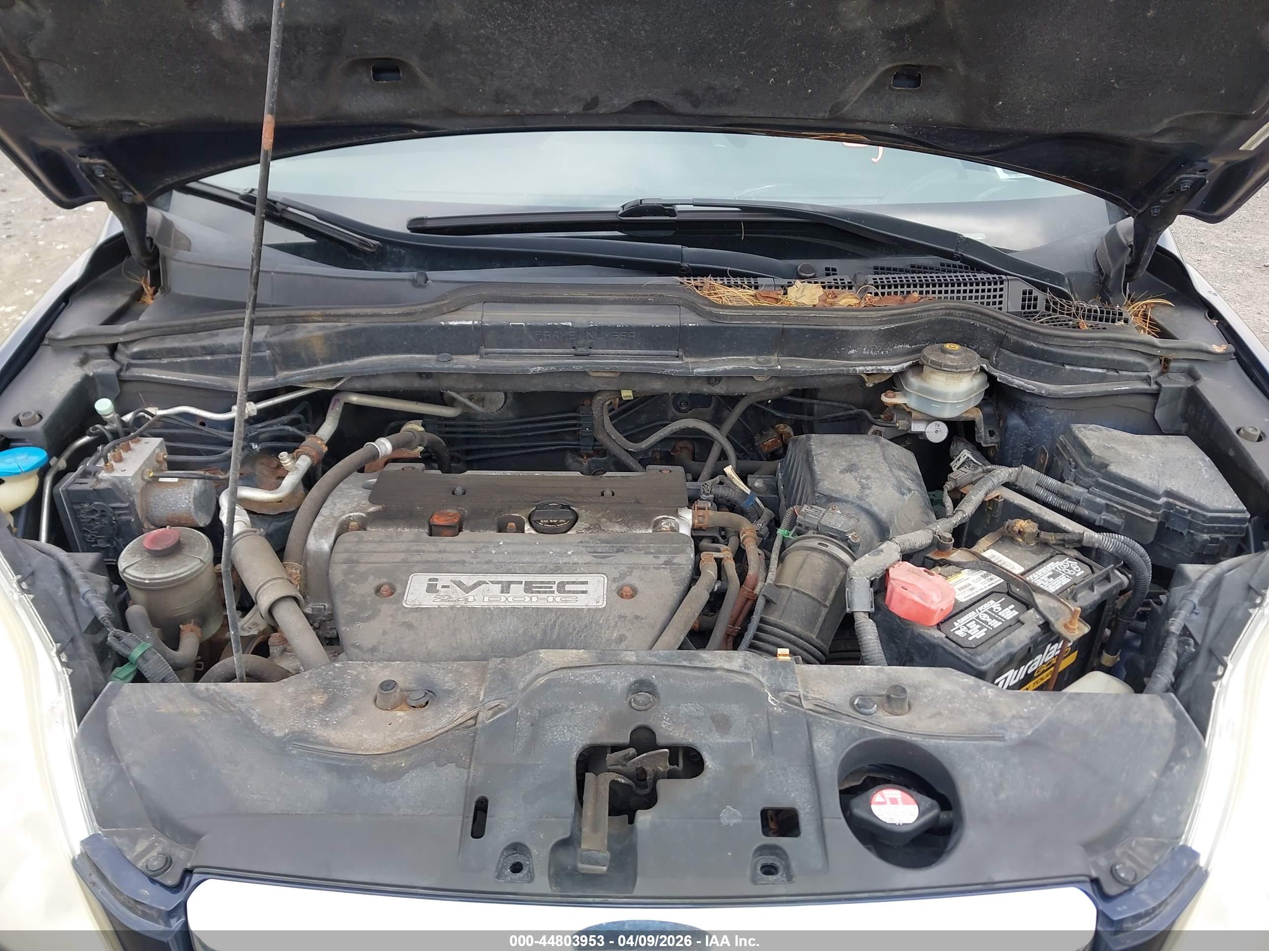 HONDA CR-V image 10