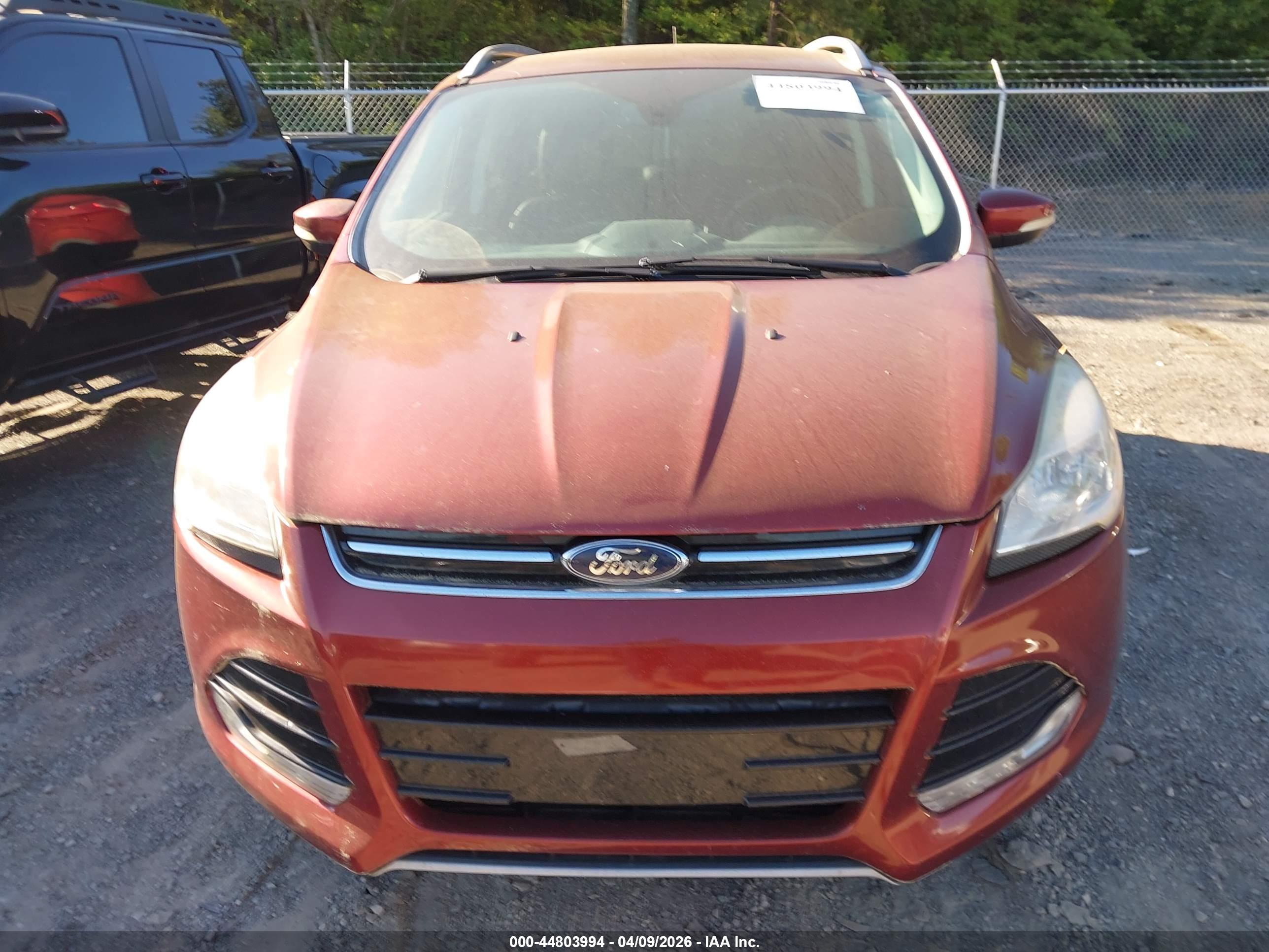 FORD ESCAPE image 6