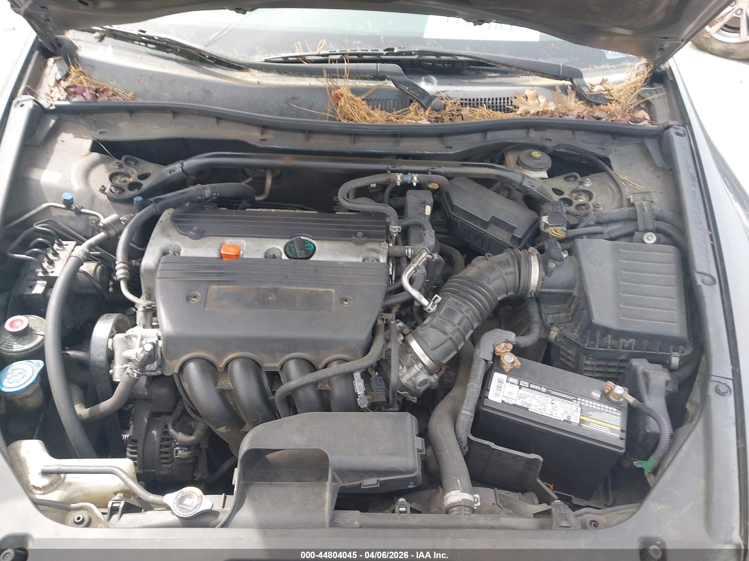 HONDA ACCORD image 10
