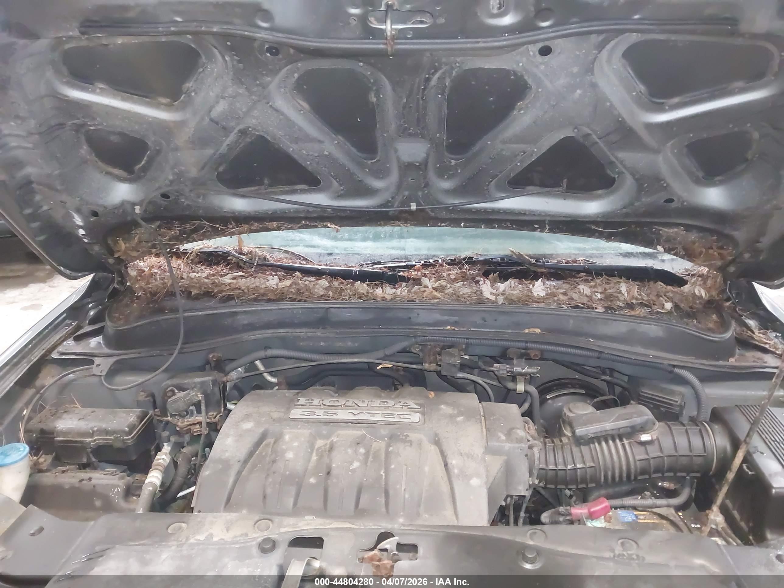 HONDA PILOT image 10