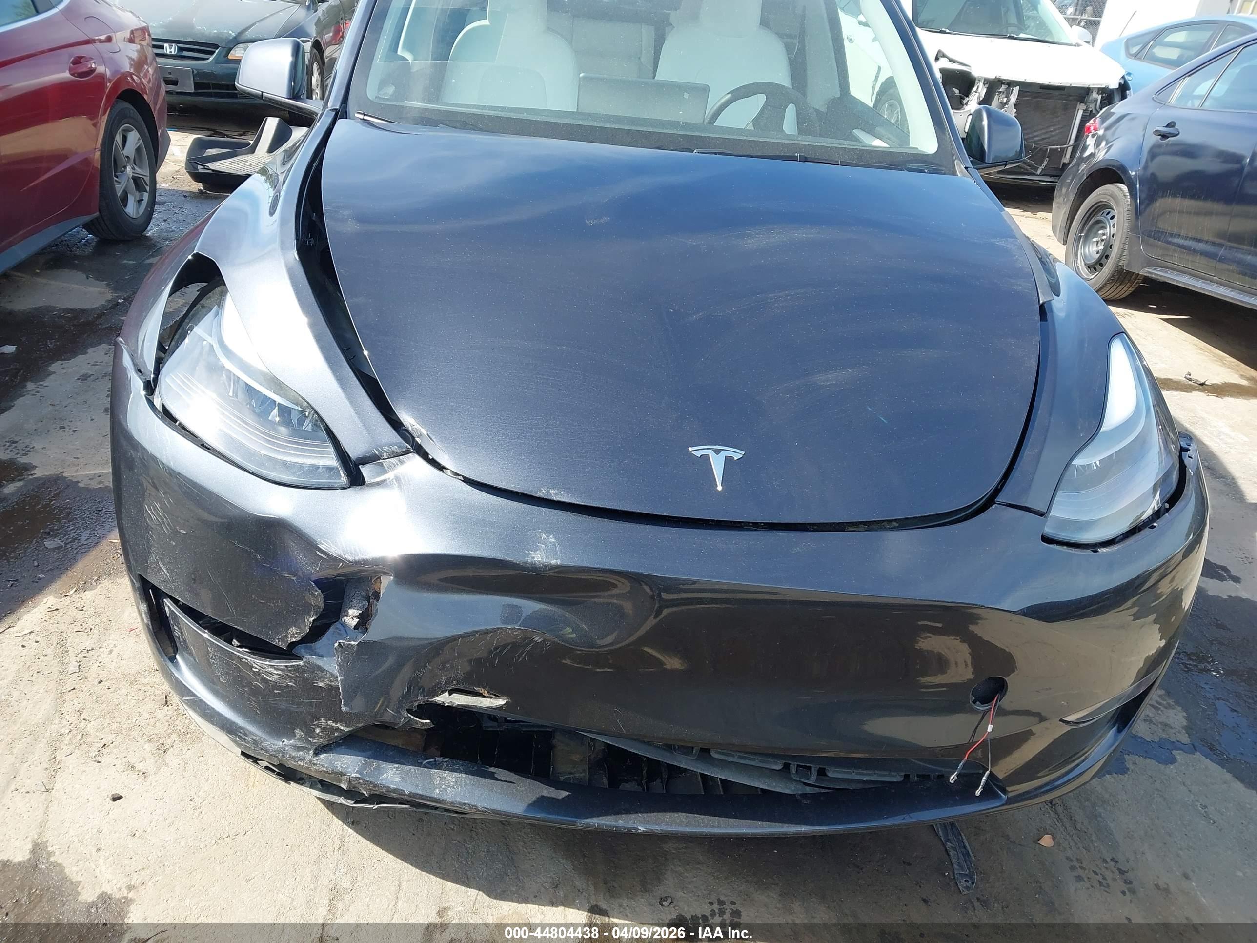 TESLA MODEL image 6
