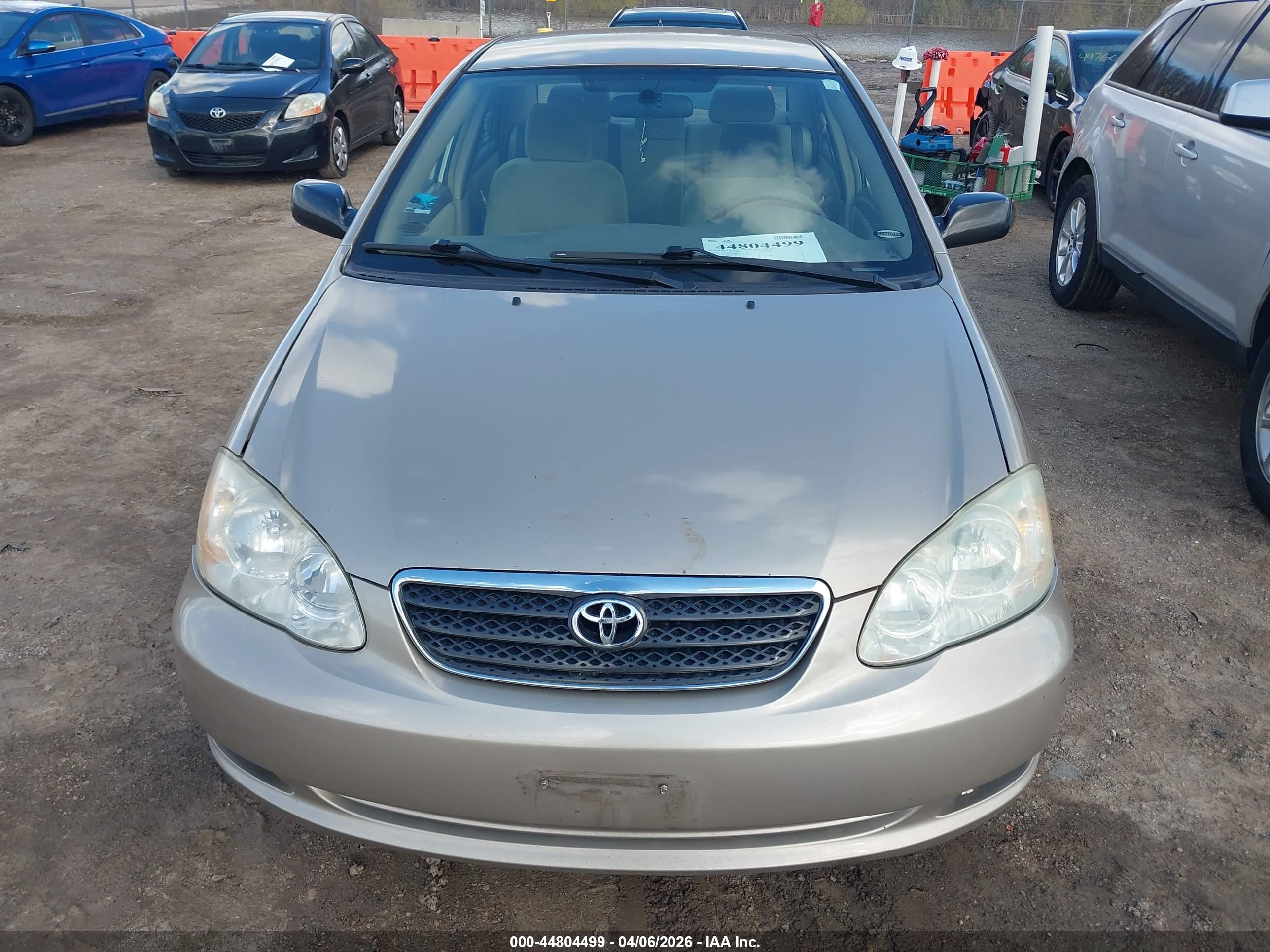 TOYOTA COROLLA image 6