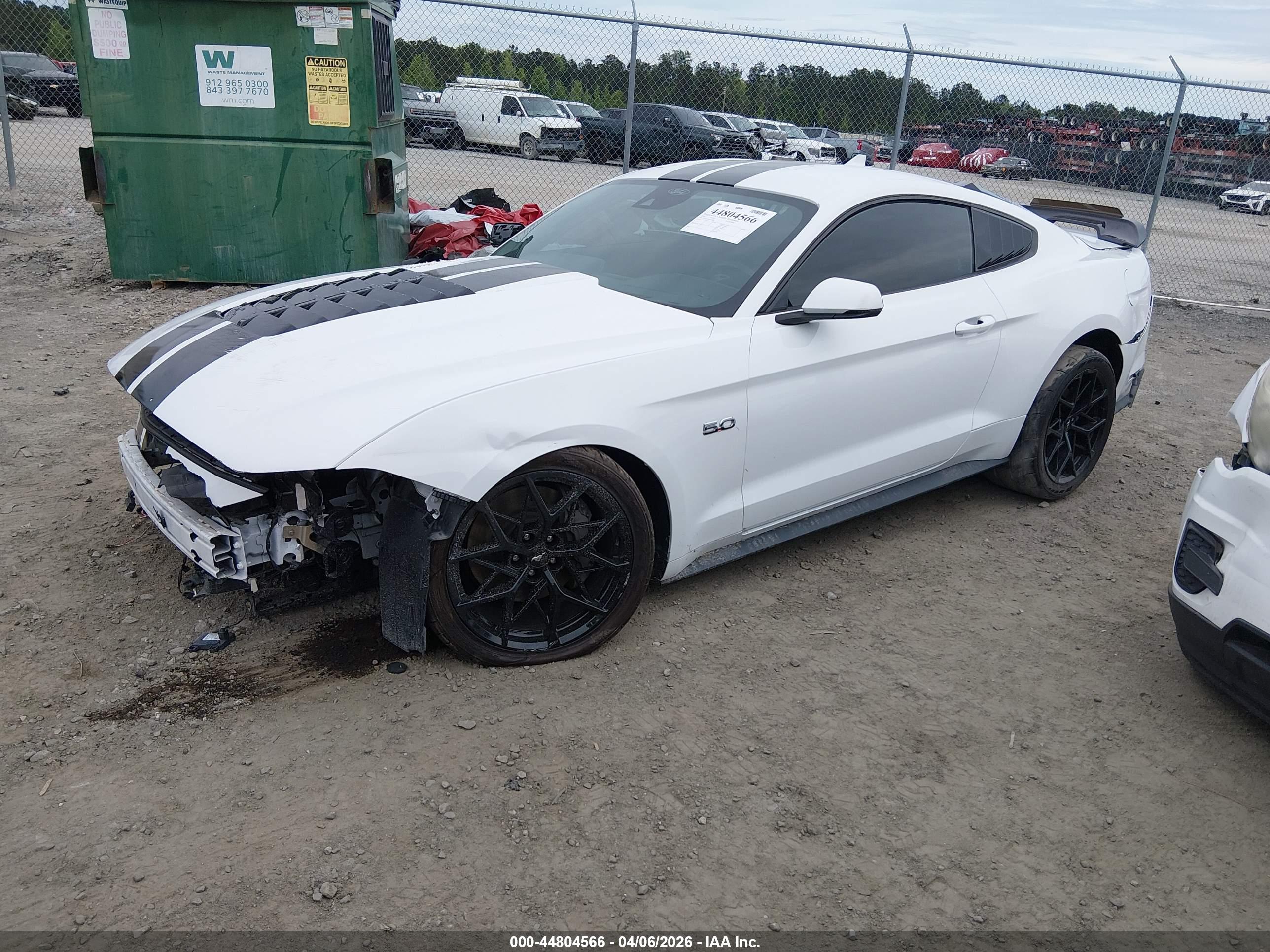 FORD MUSTANG image 2