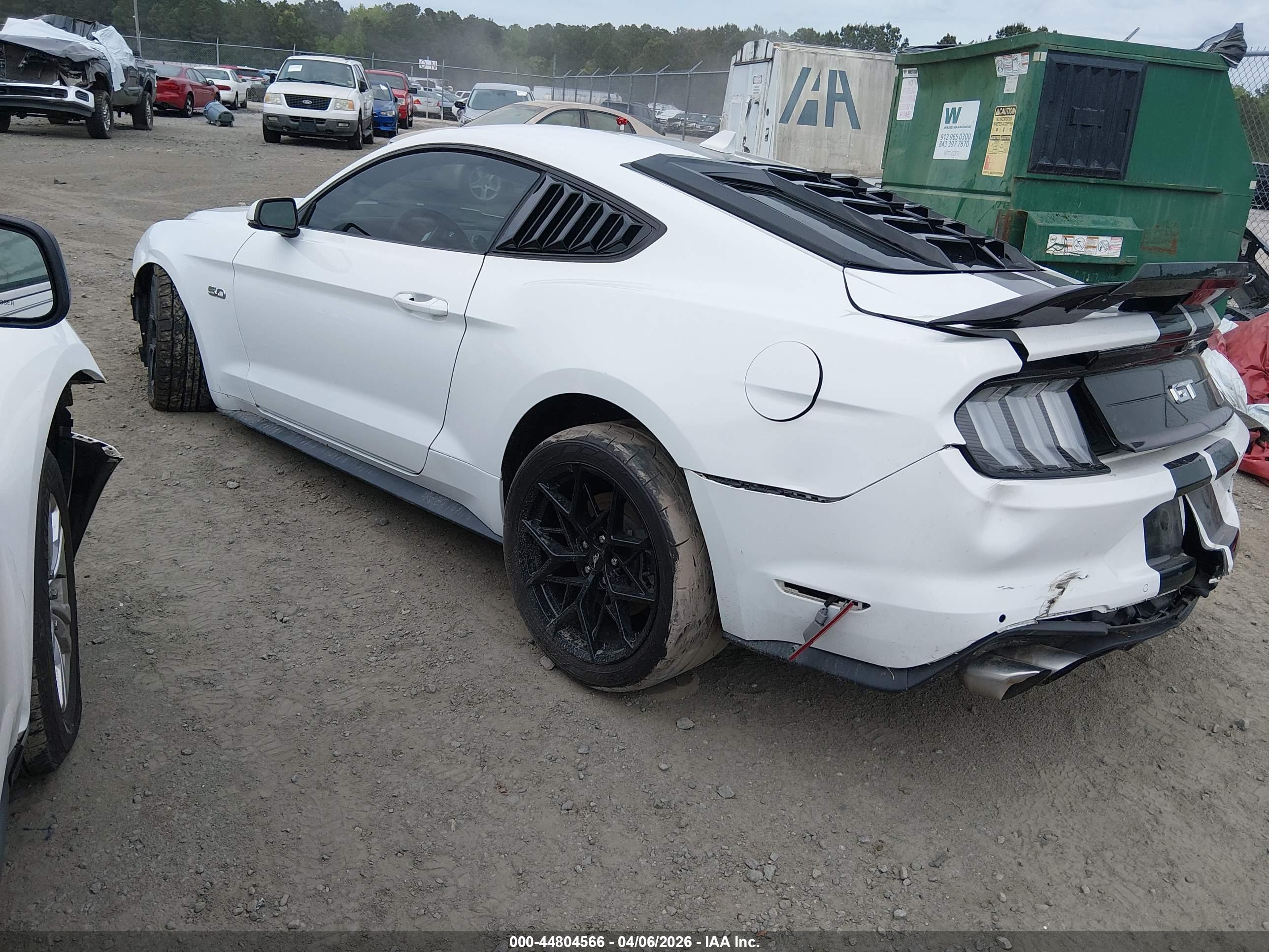 FORD MUSTANG image 3