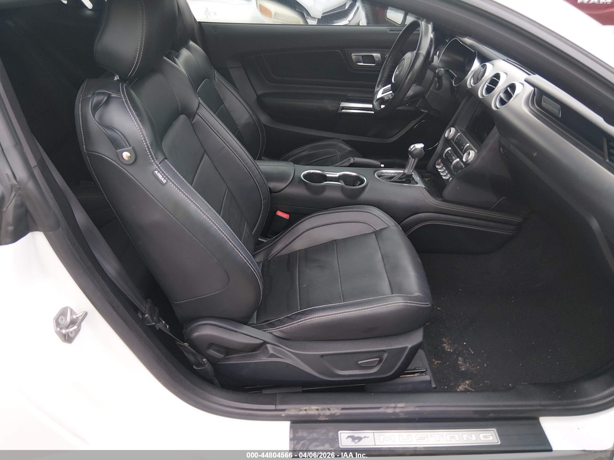 FORD MUSTANG image 5