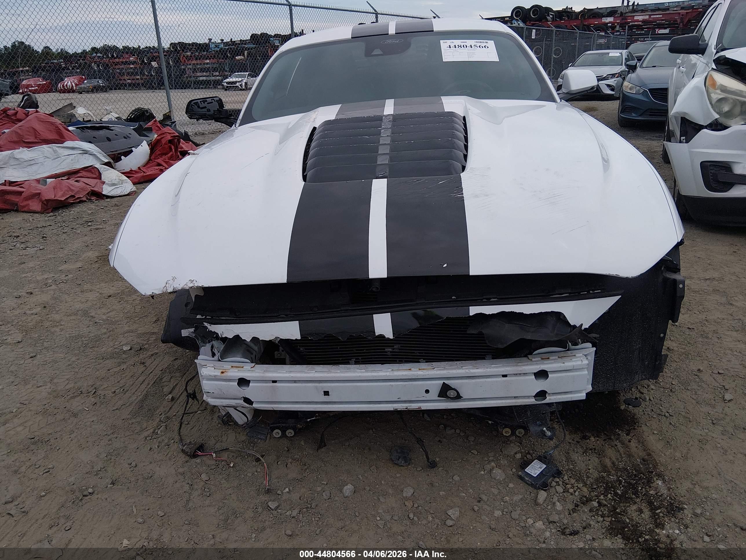 FORD MUSTANG image 6