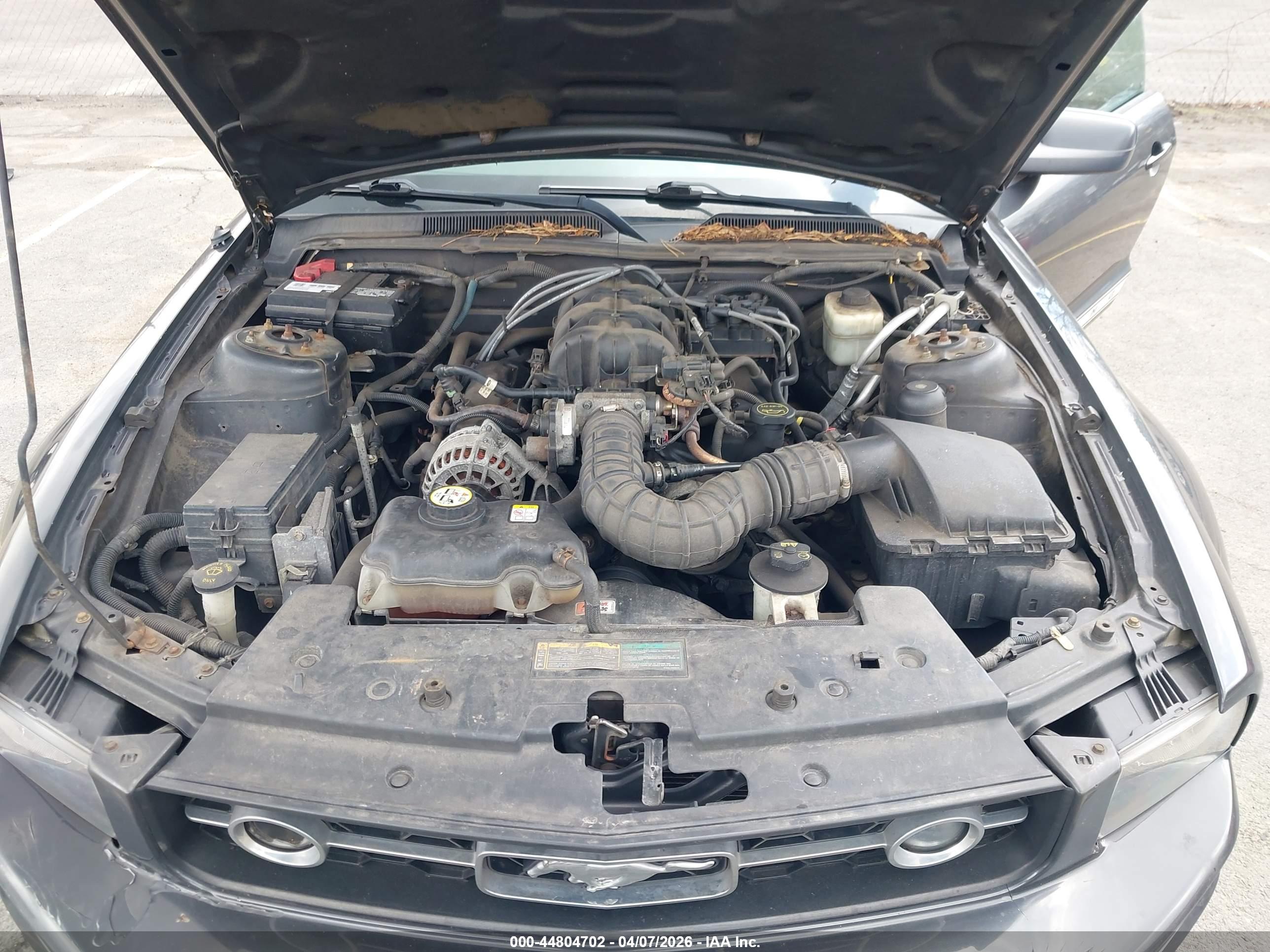 FORD MUSTANG image 10