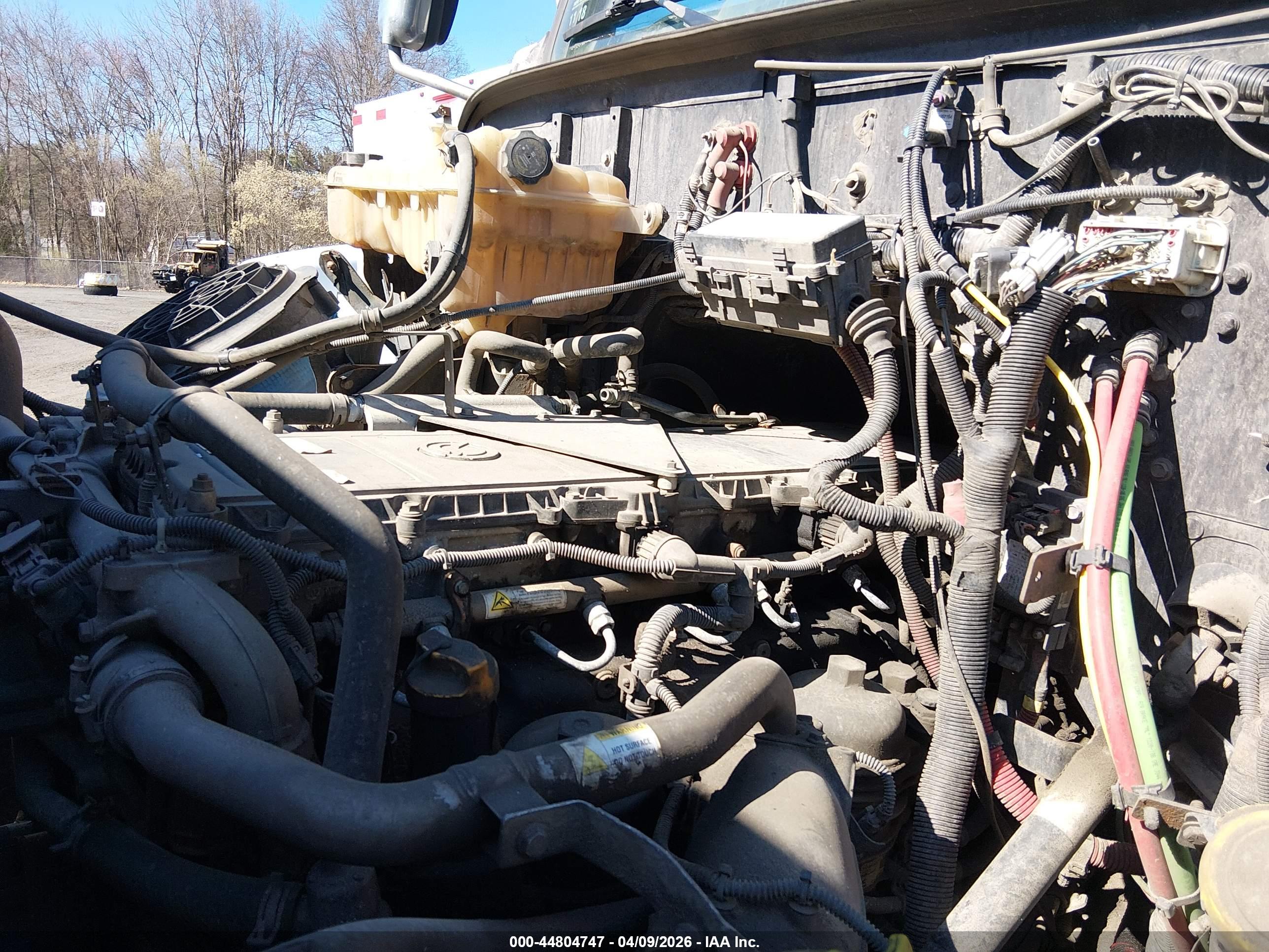 WESTERN STAR image 10