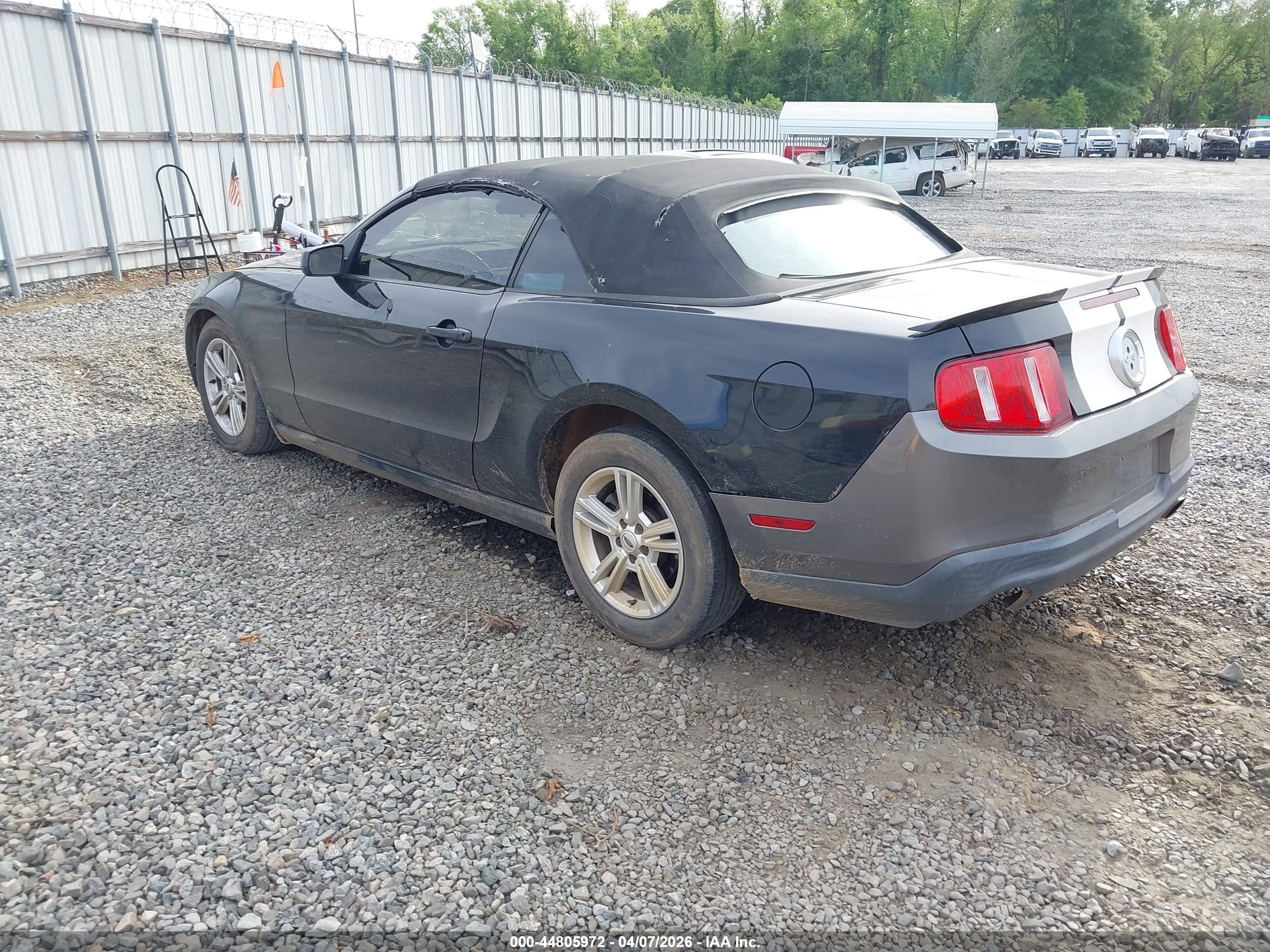 FORD MUSTANG image 3
