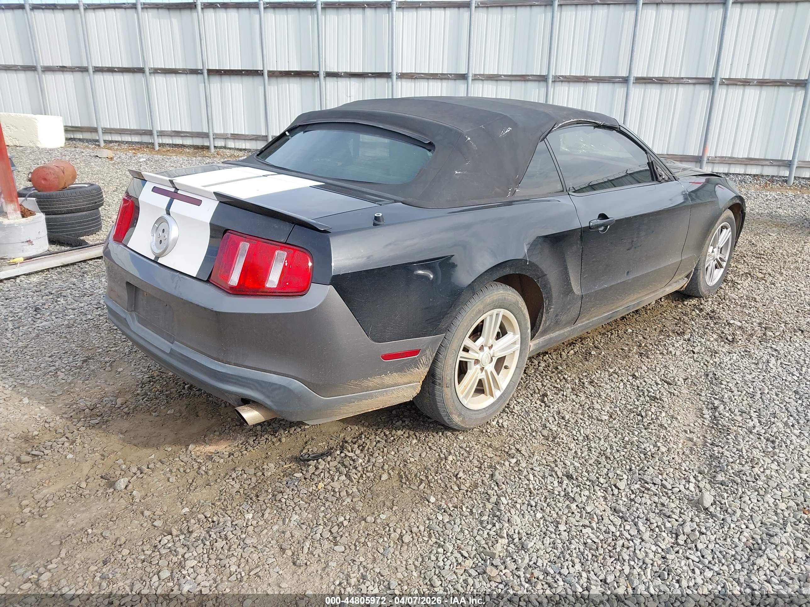 FORD MUSTANG image 4