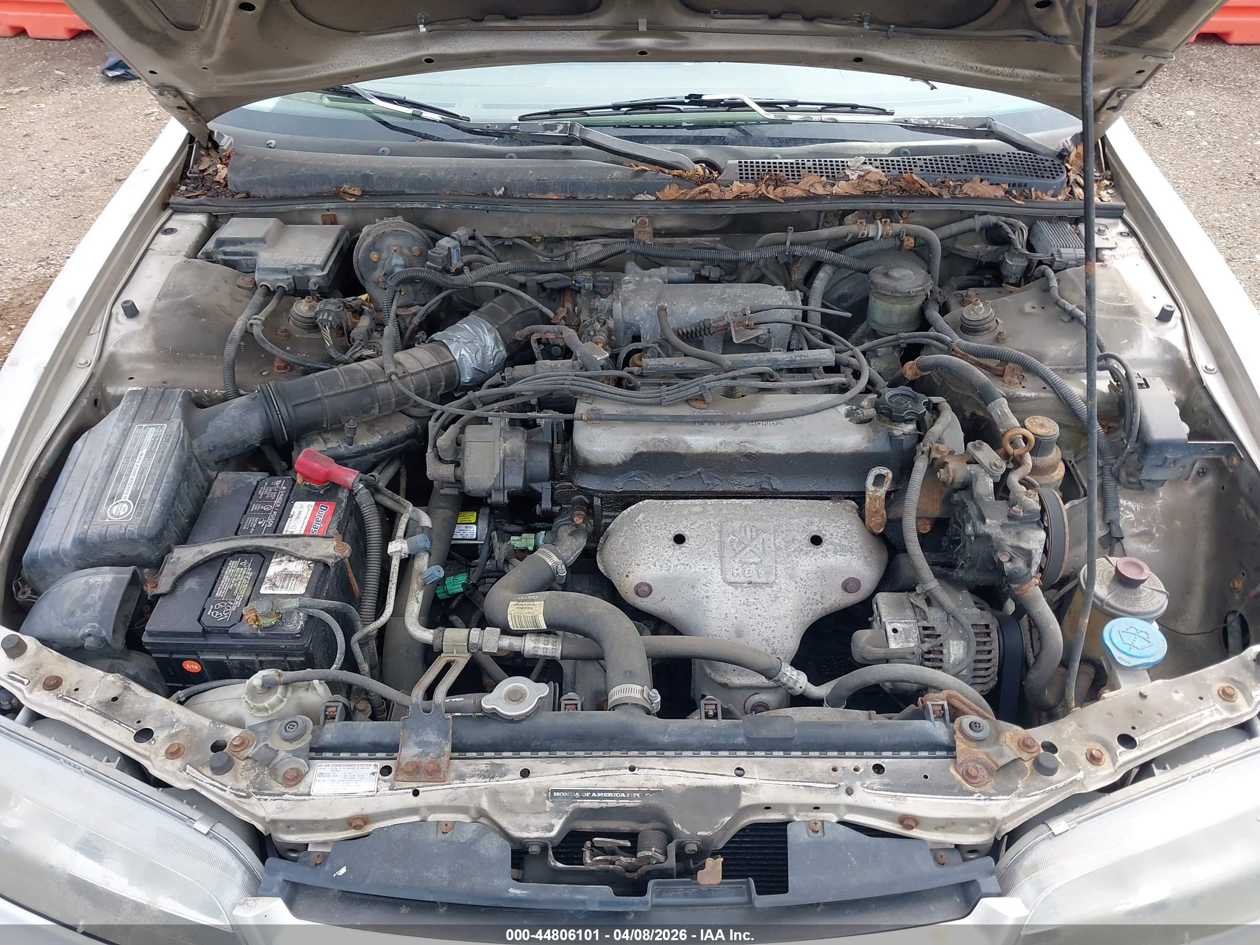 HONDA ACCORD image 10