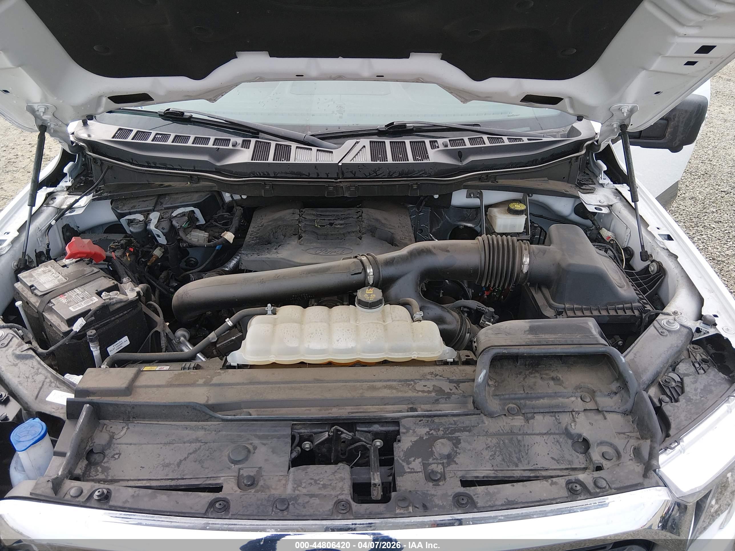 FORD F-150 image 10