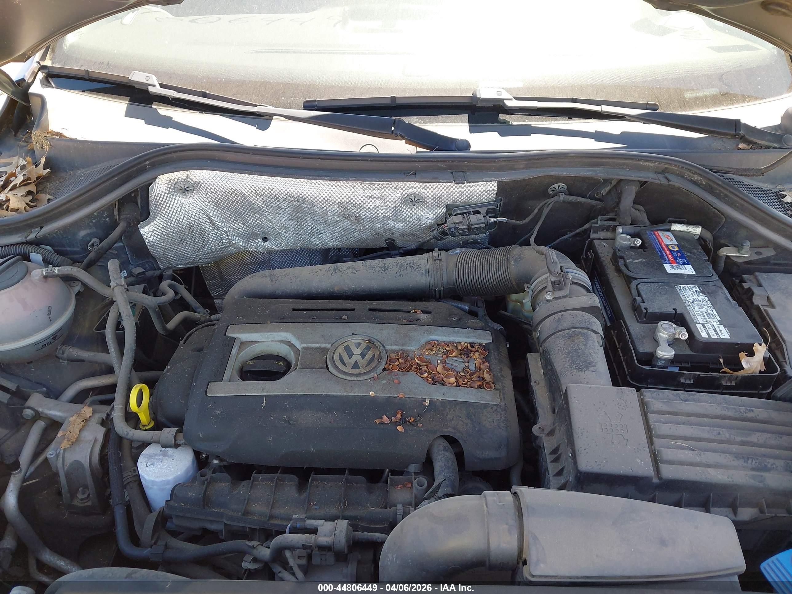 VOLKSWAGEN TIGUAN image 10