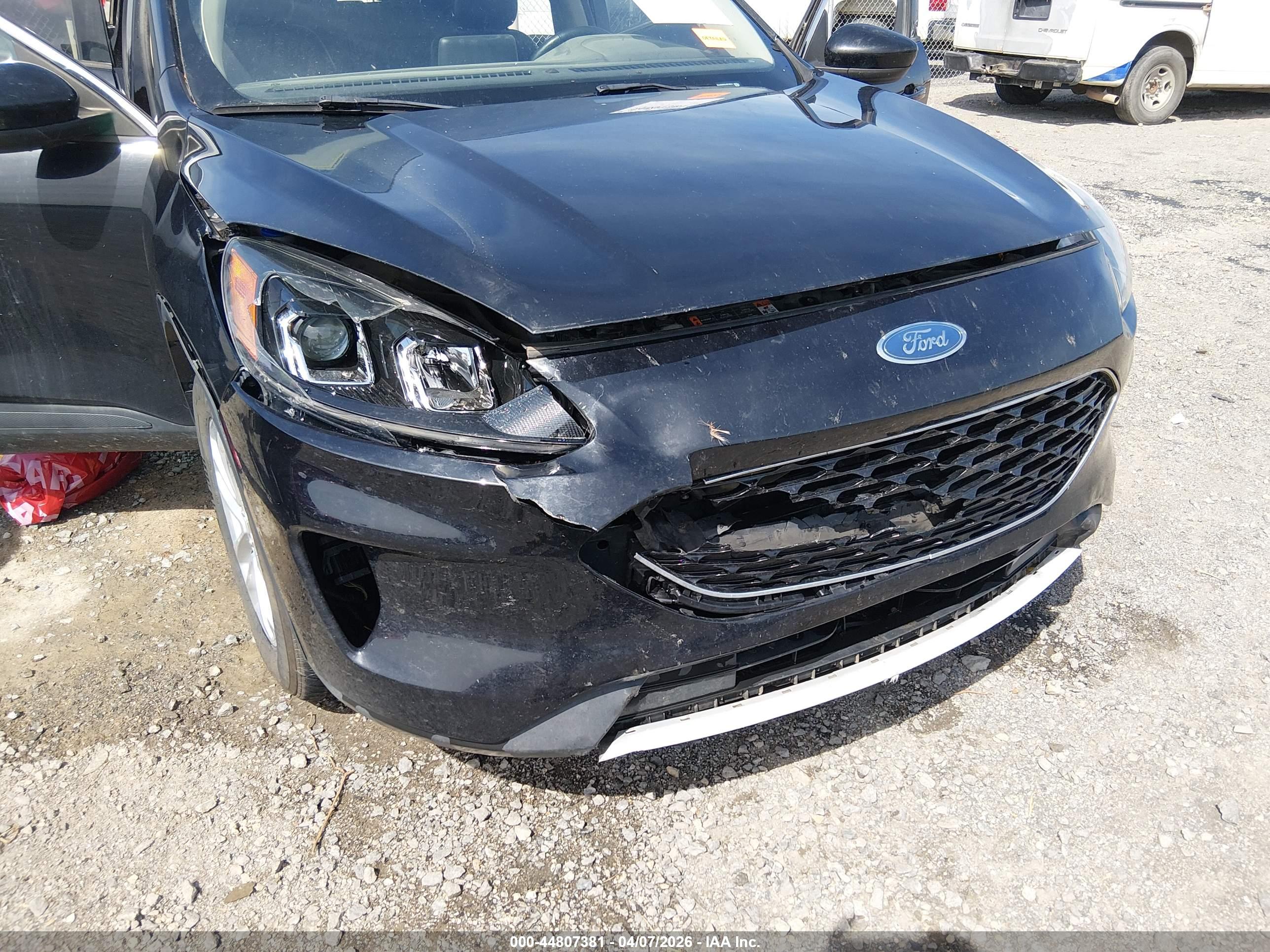 FORD ESCAPE image 6