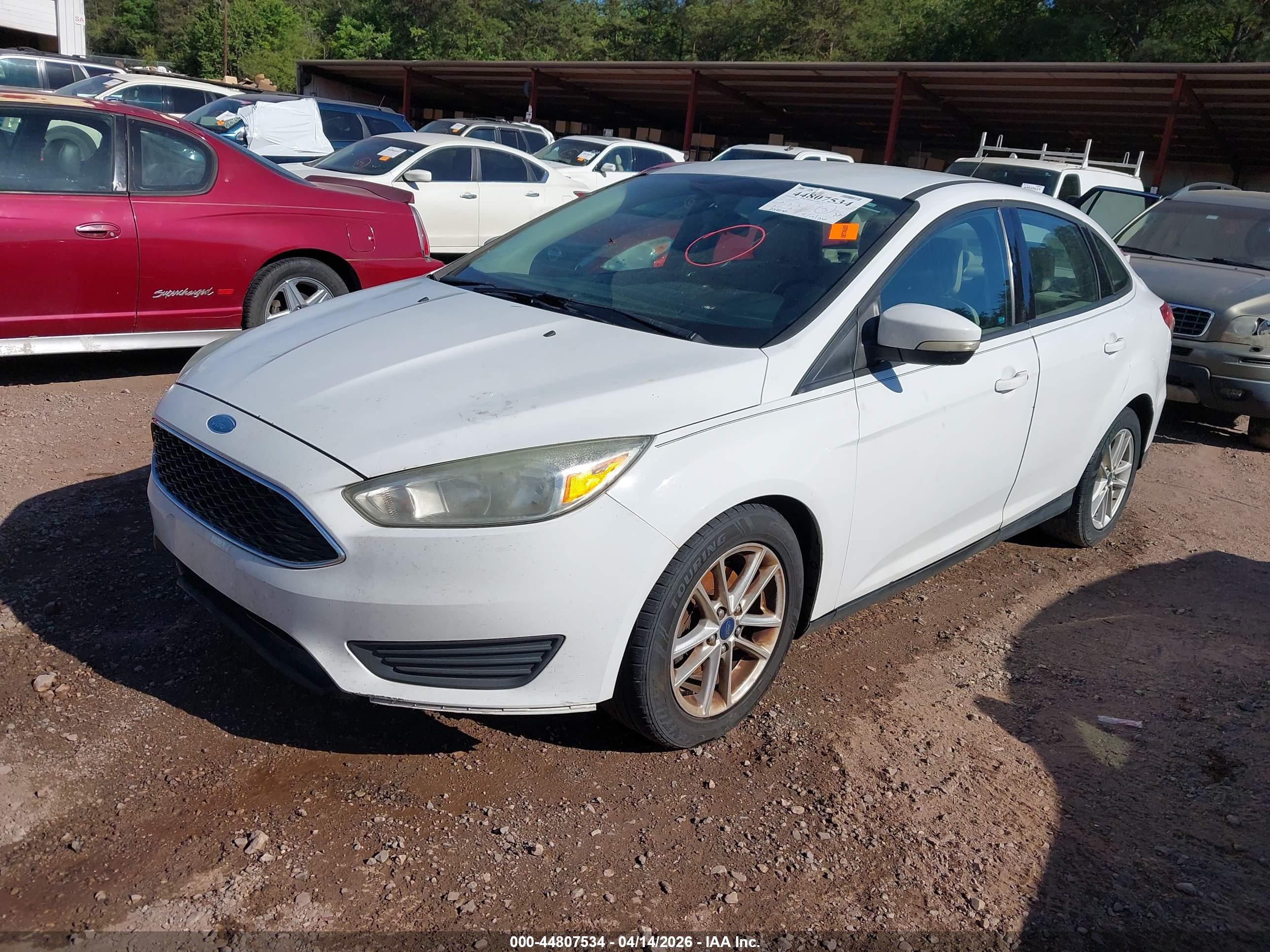 FORD FOCUS image 2