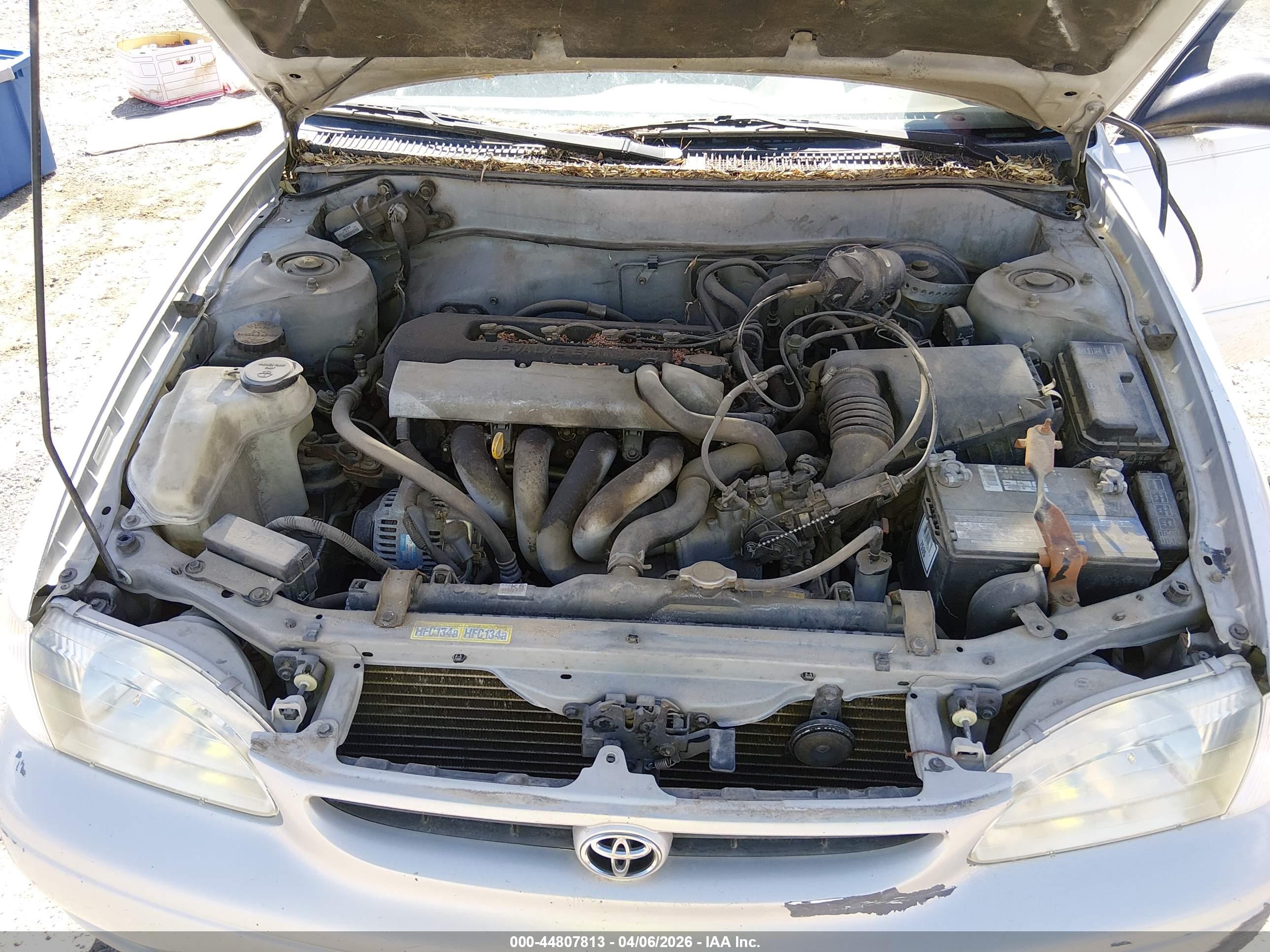 TOYOTA COROLLA image 10
