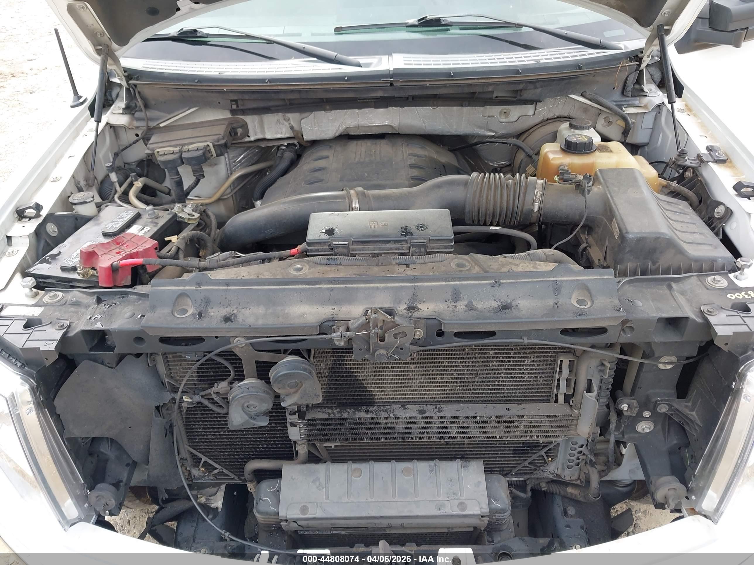 FORD F-150 image 10