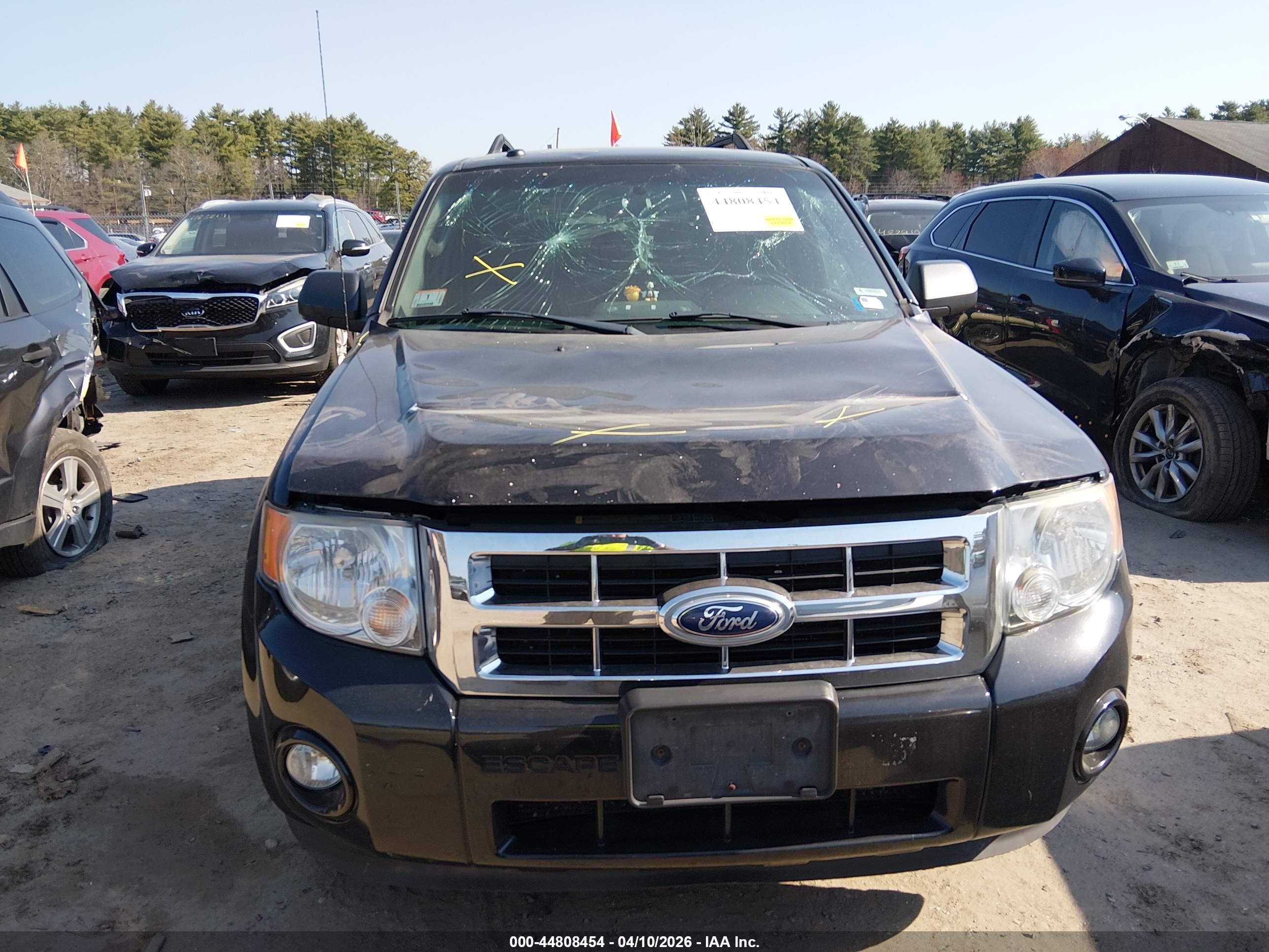 FORD ESCAPE image 6