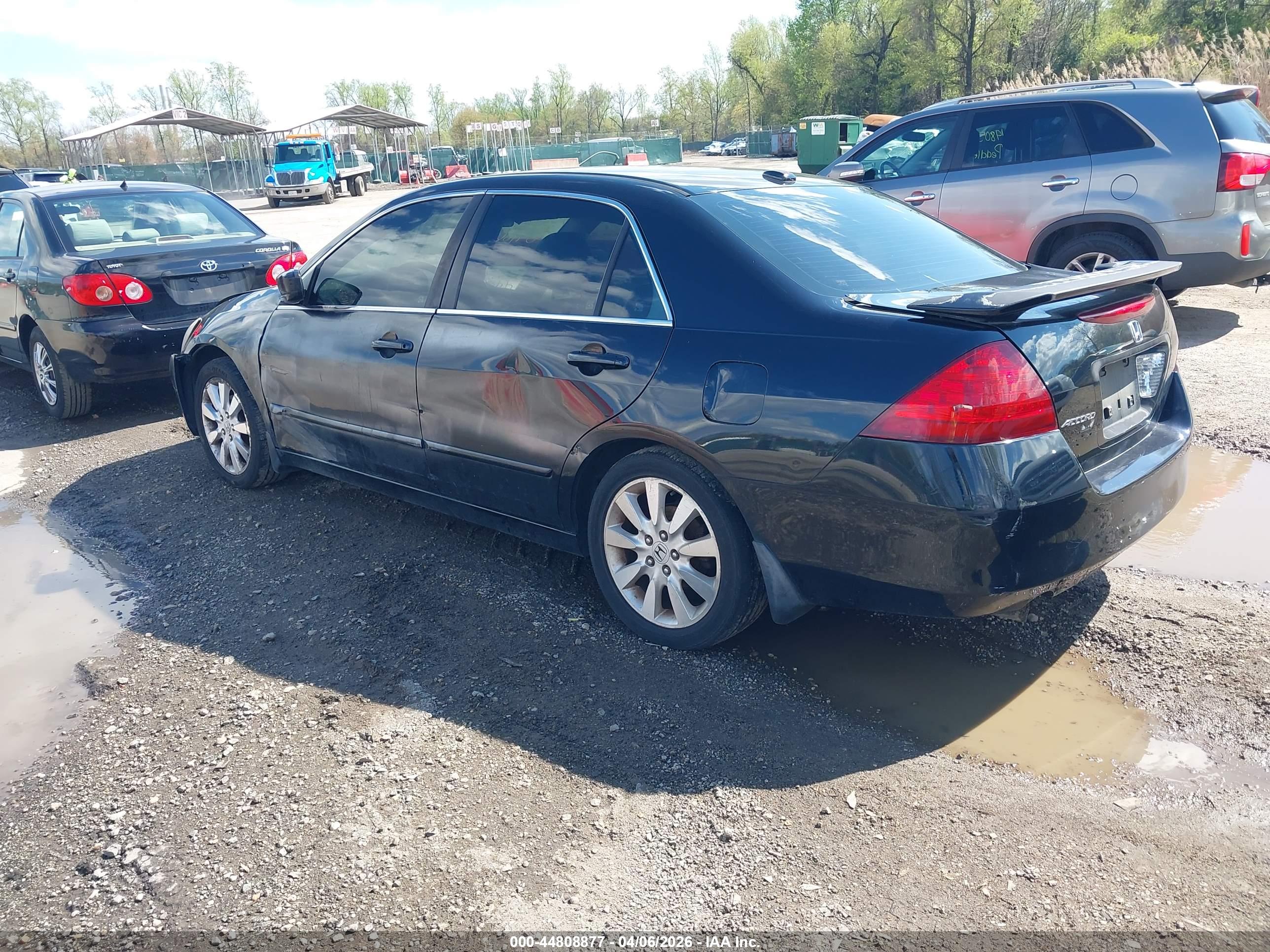HONDA ACCORD image 3