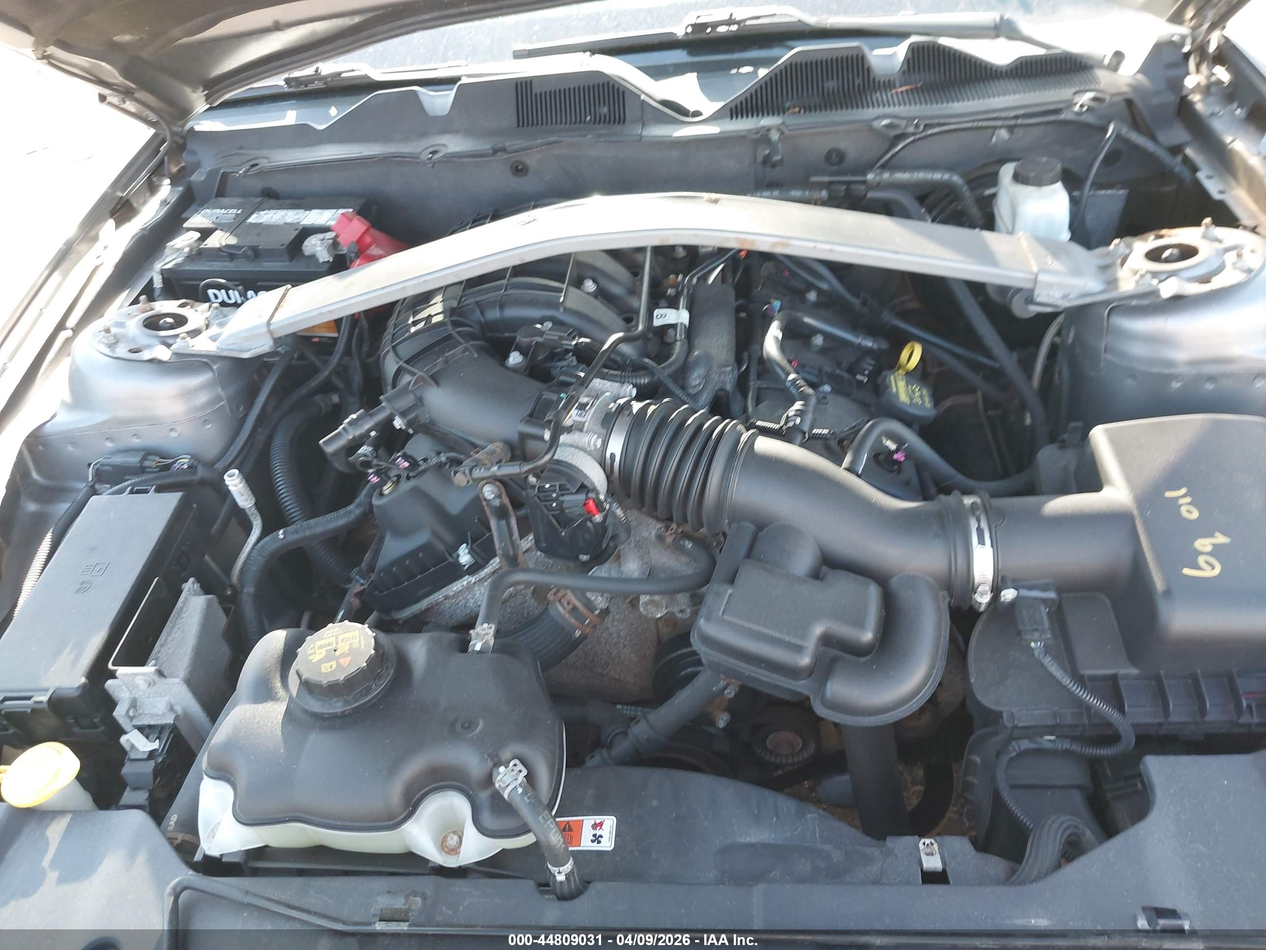 FORD MUSTANG image 10