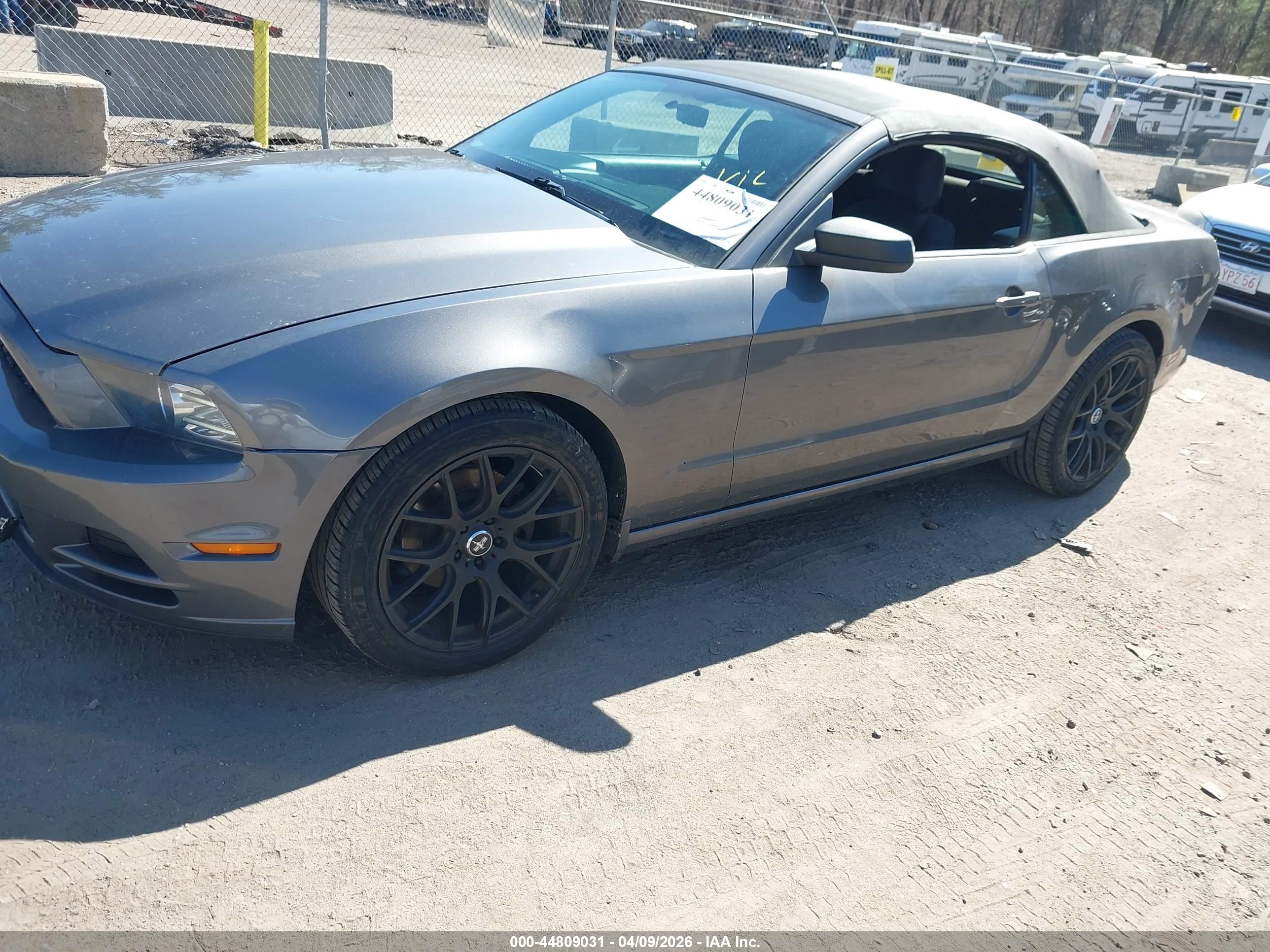 FORD MUSTANG image 2