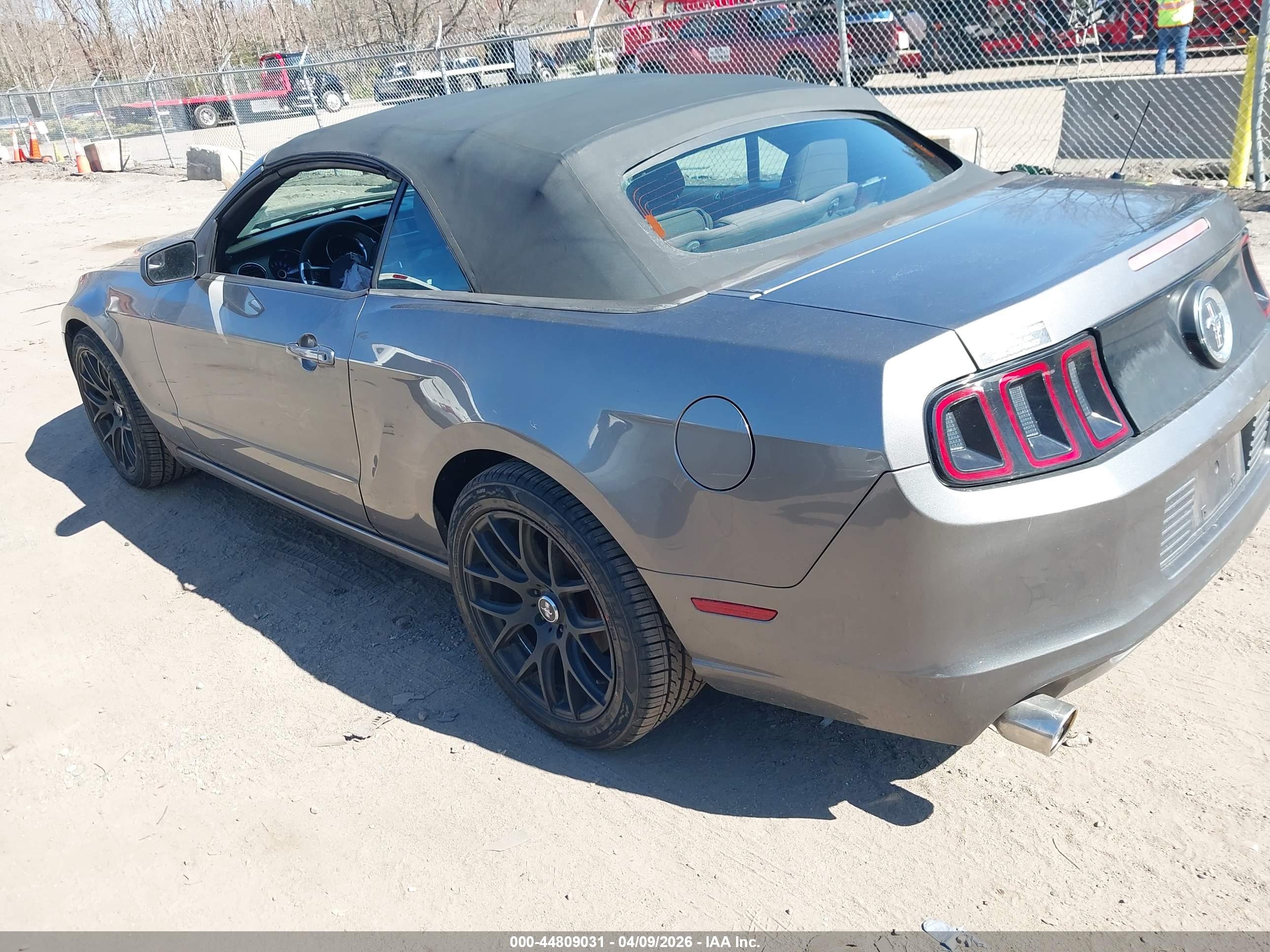 FORD MUSTANG image 3