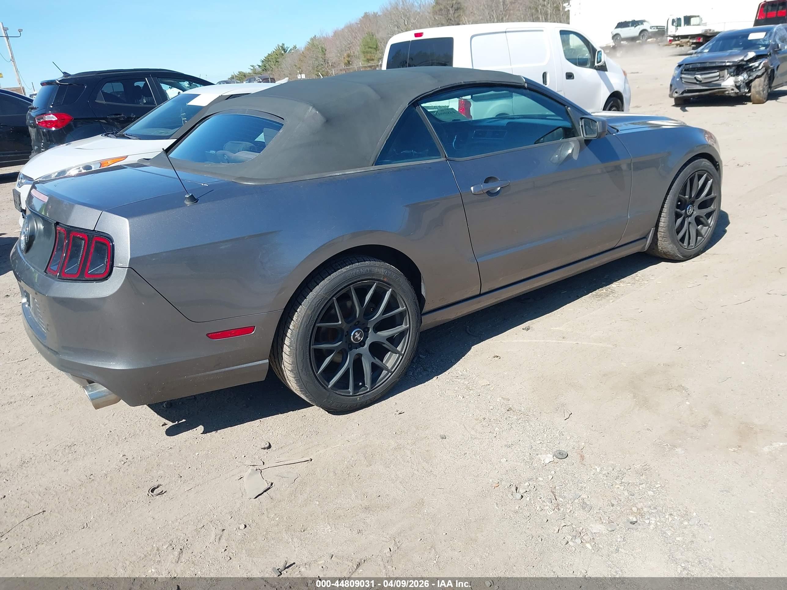 FORD MUSTANG image 4