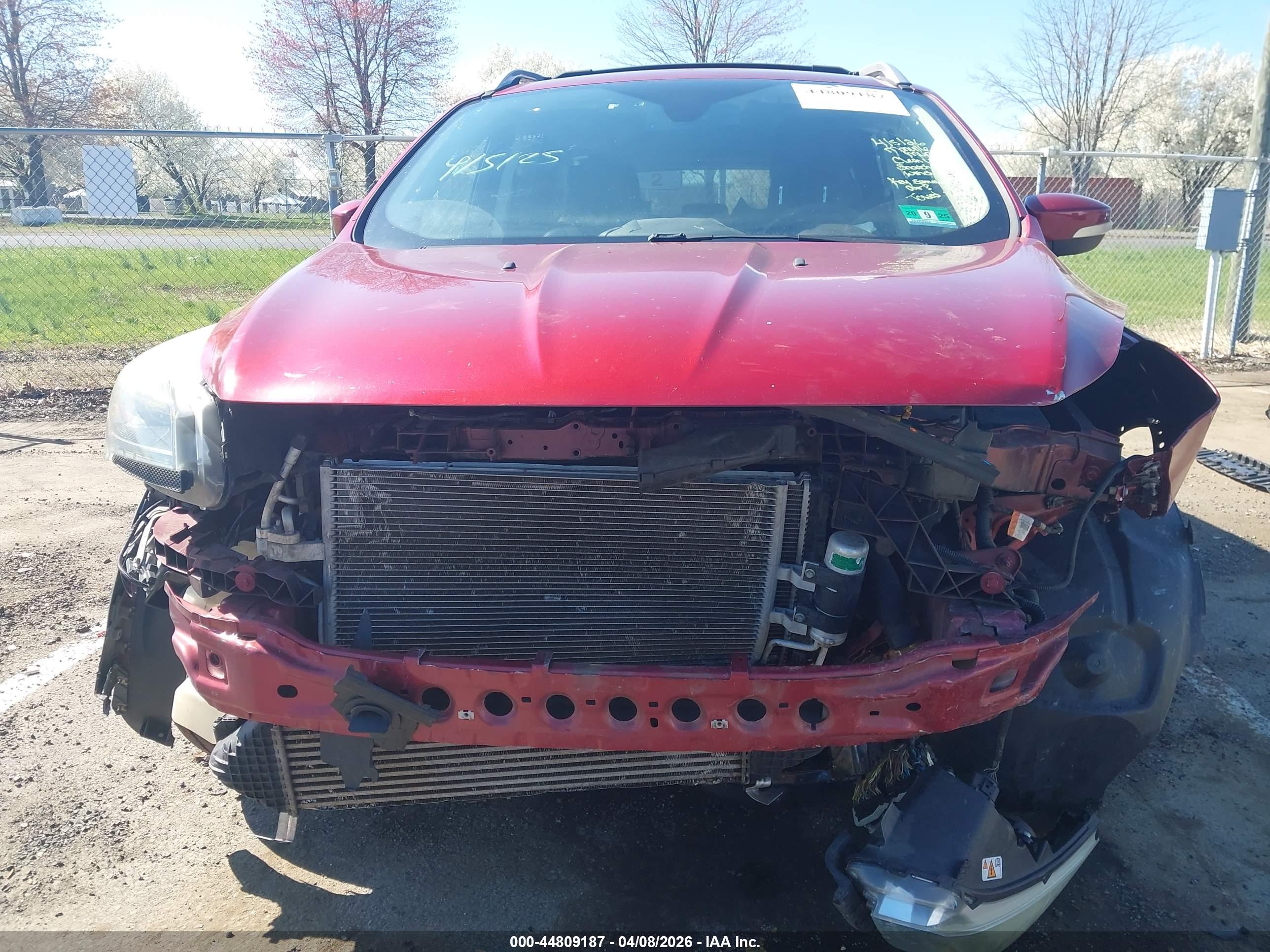 FORD ESCAPE image 6
